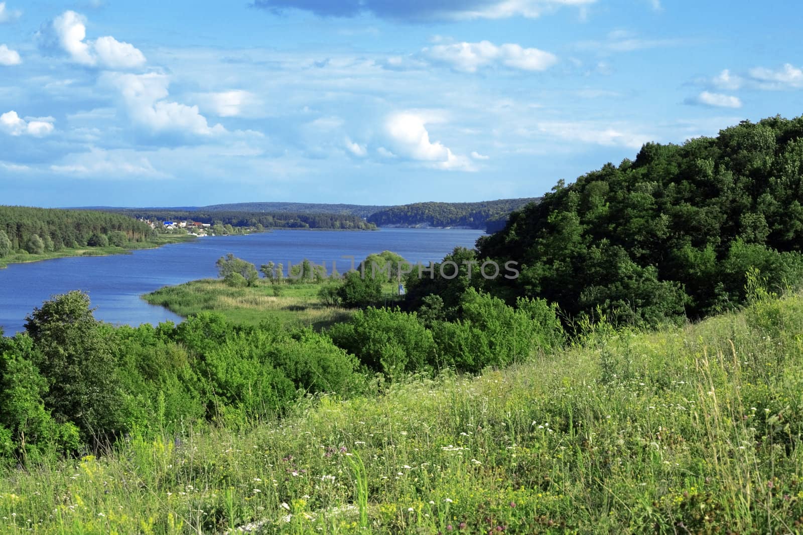 green vegetation and the blue river in summer day