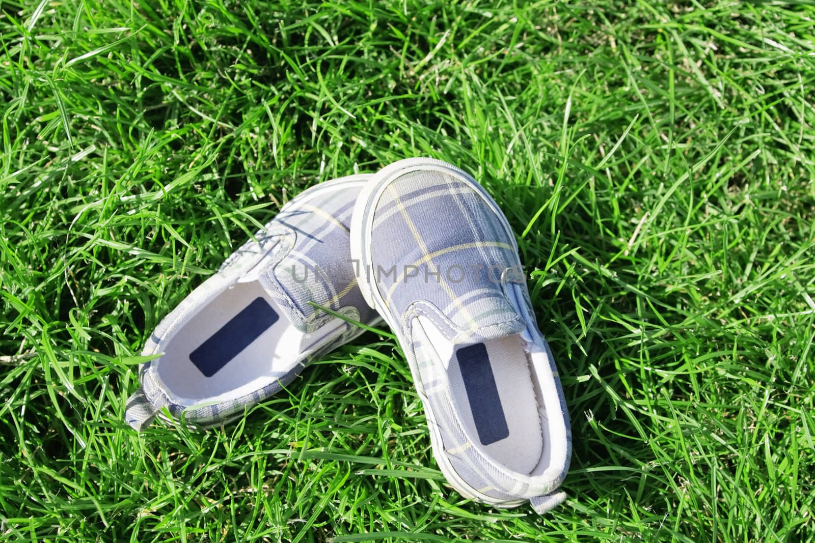 casual footwear on a juicy grass in summer day