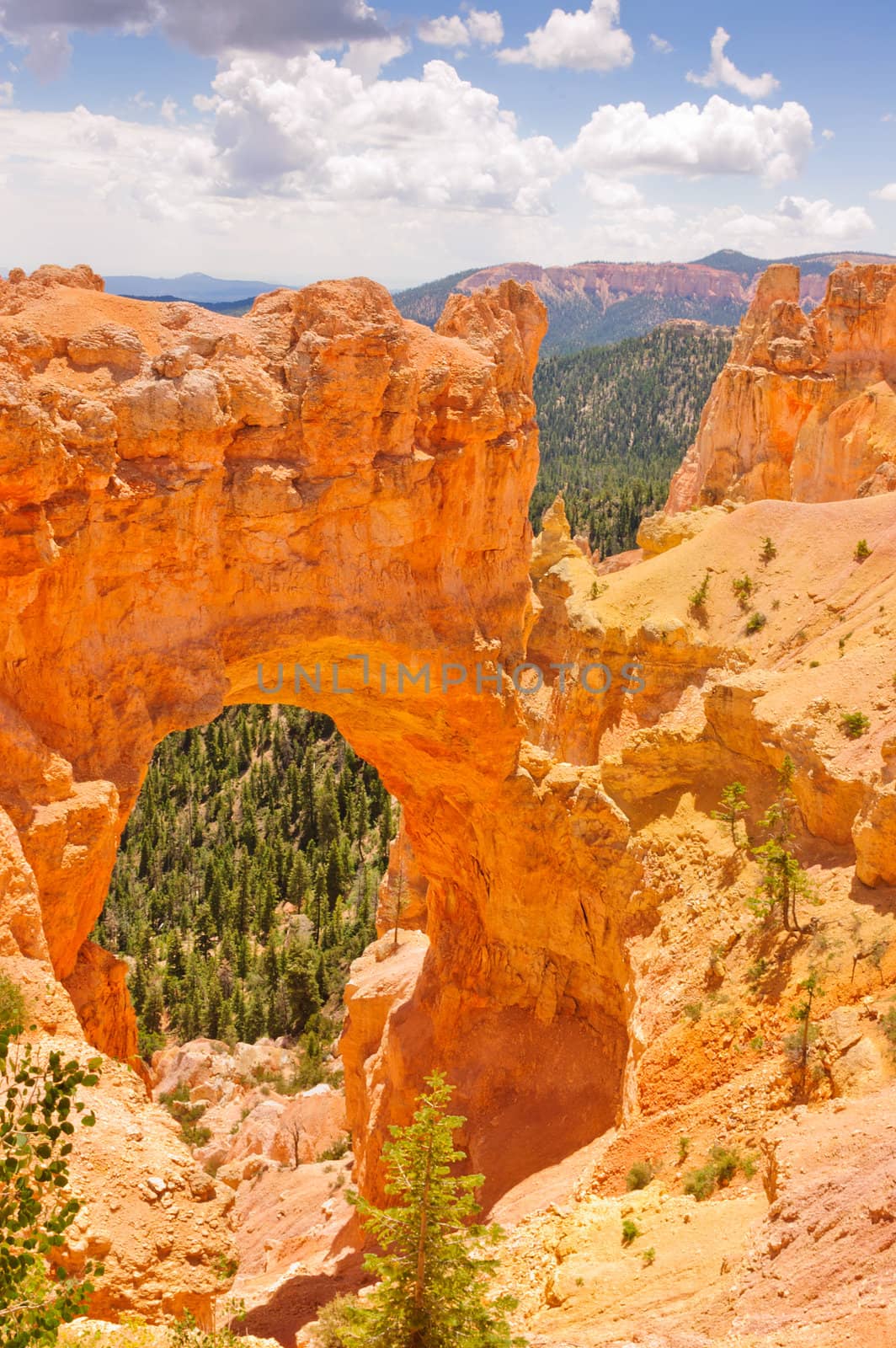 Bryce Canyon National Park, Utah, USA