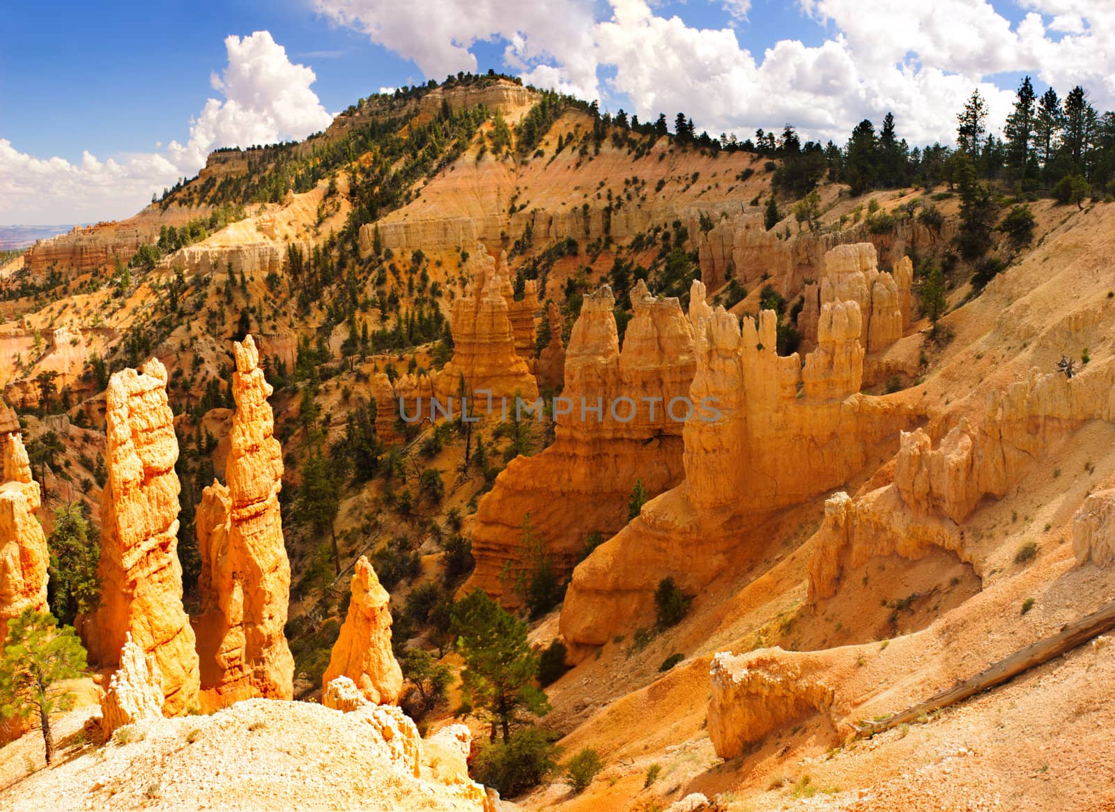 Bryce Canyon National park, Utah, USA