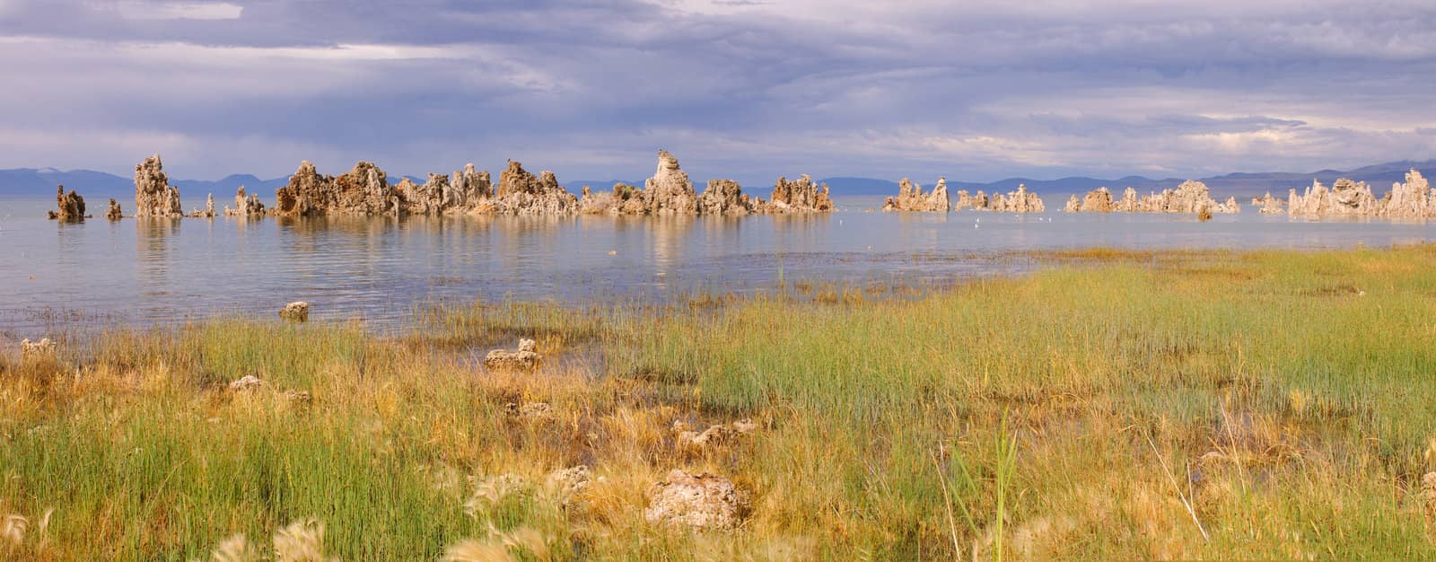 Tufas and eagles at Mono Lake, Californis