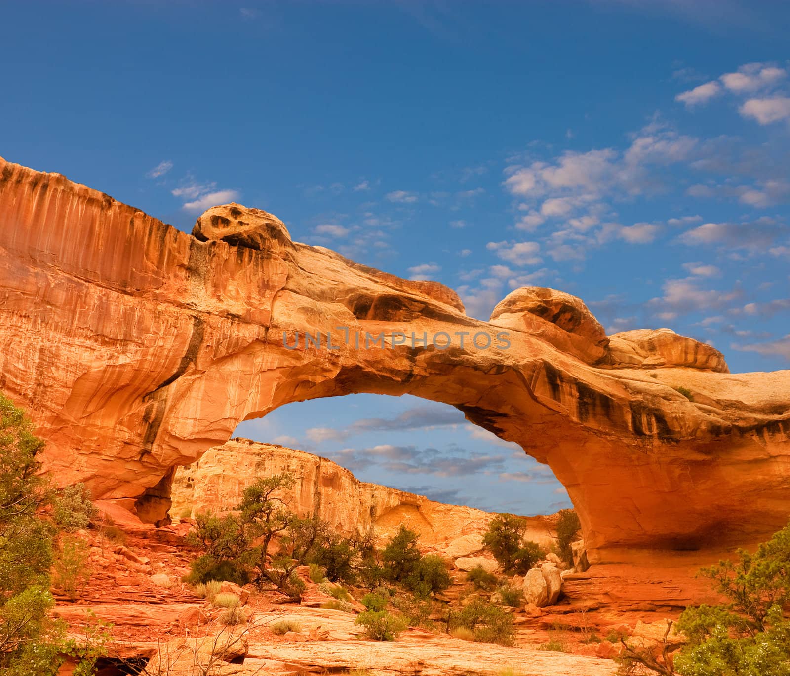 Capital Reef National Park, Utah, USA