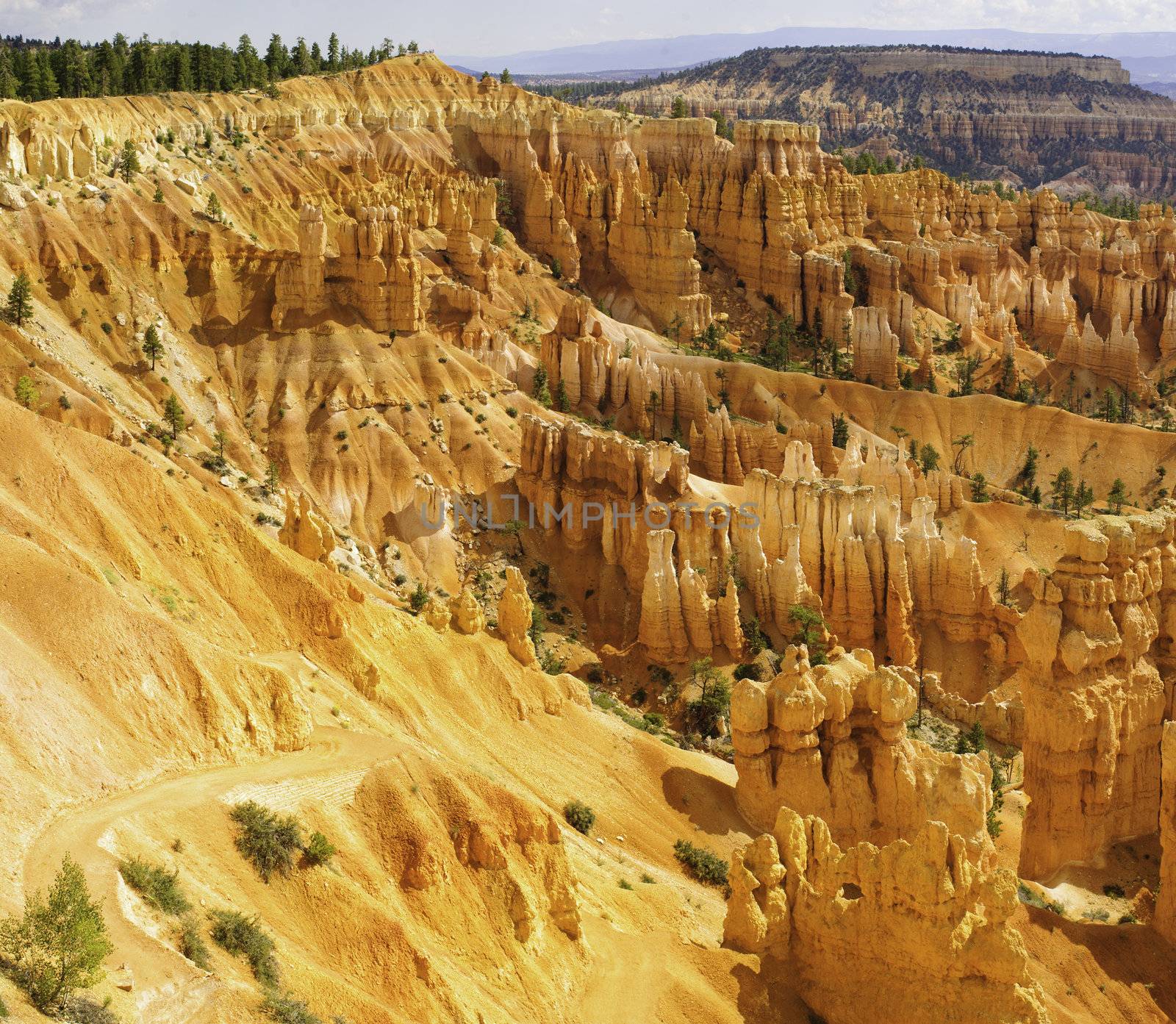 Bryce Canyon by jeffbanke