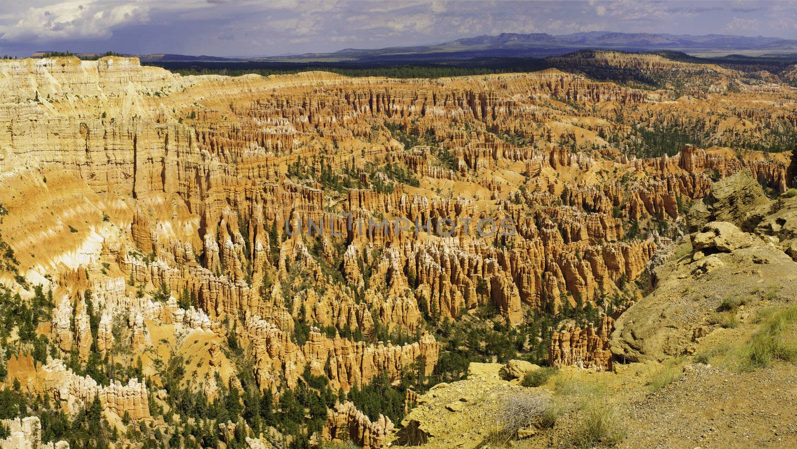 Bryce Canyon by jeffbanke