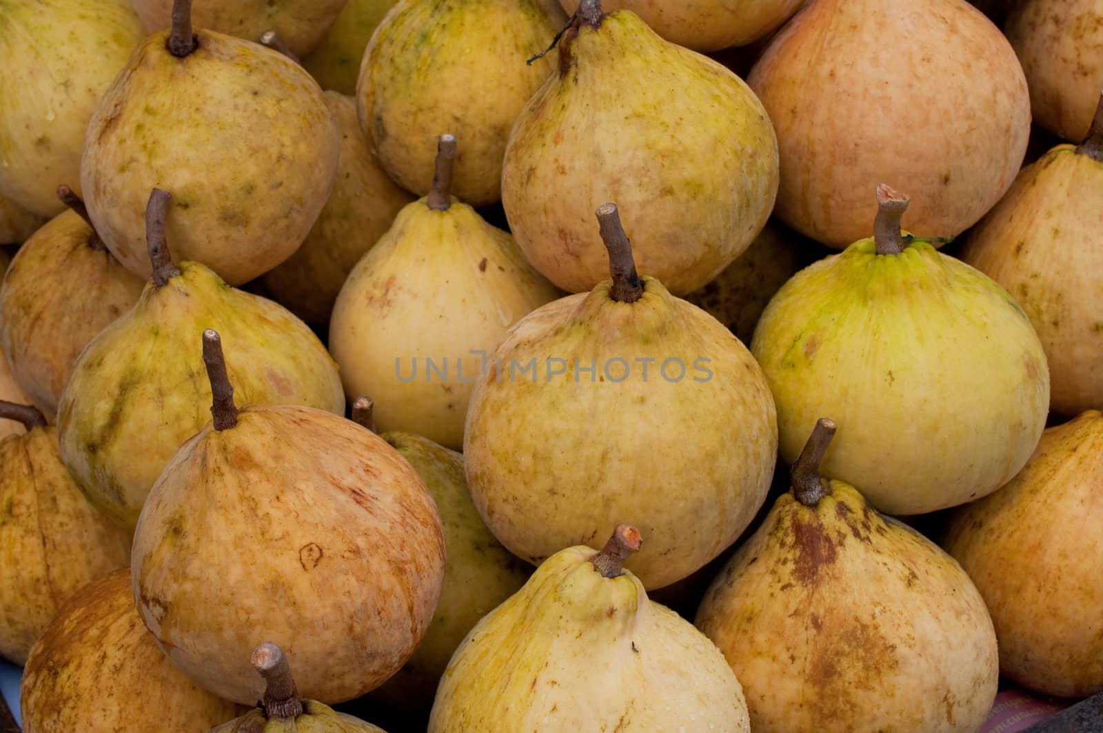 group of Meliaceae , kind of Thai fruit