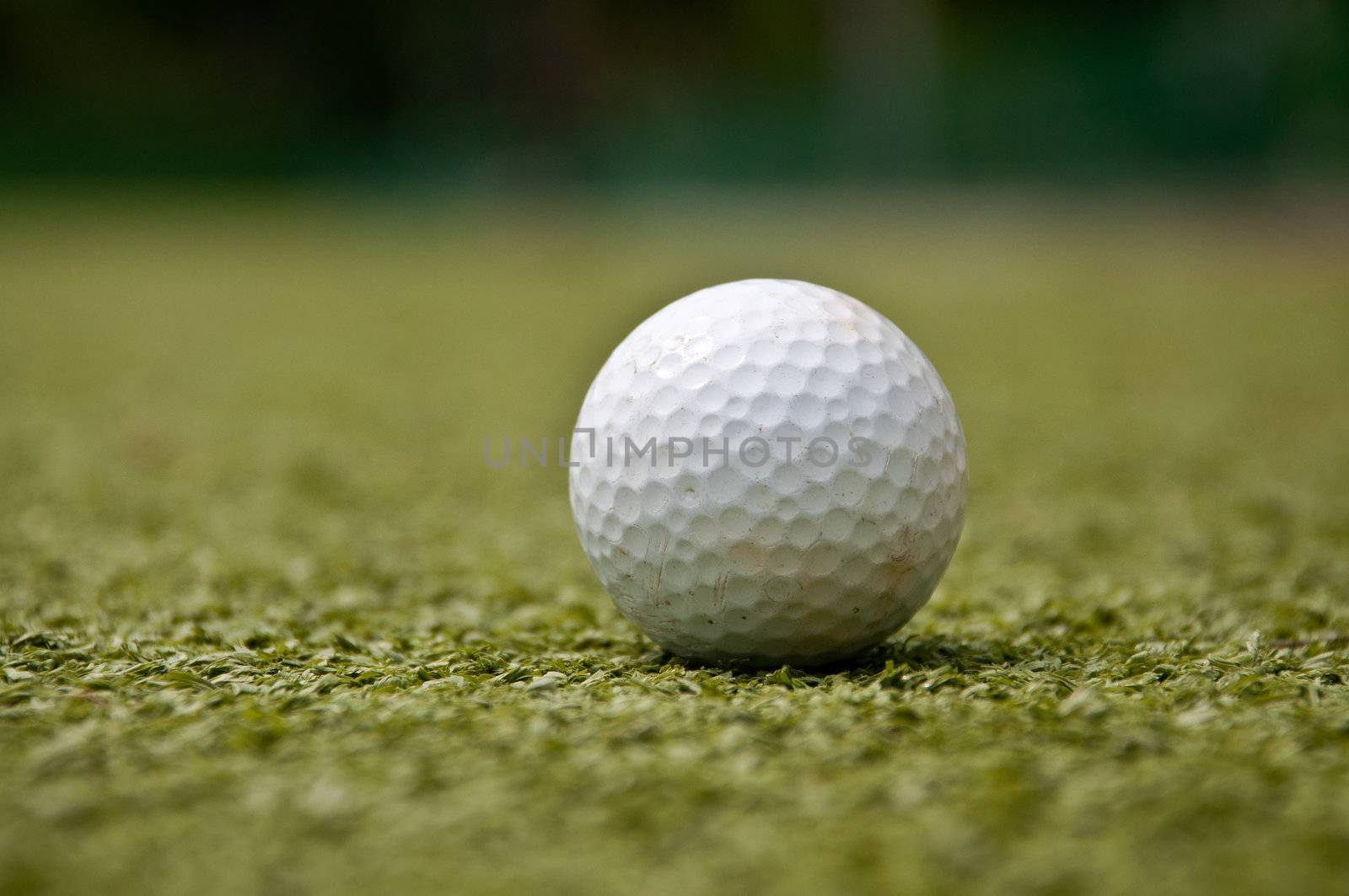 golf ball on green grass