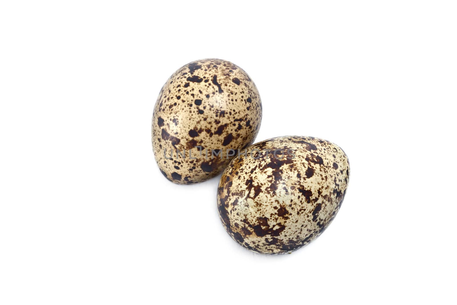 Quail eggs by Ohotnik