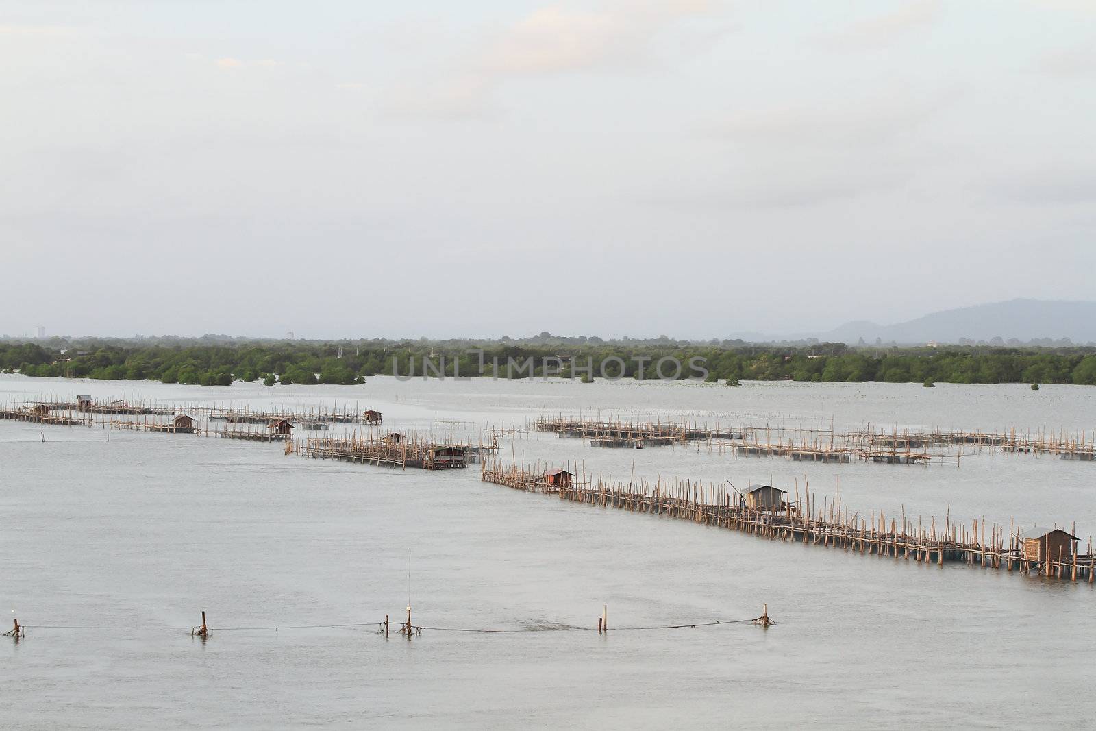 Shellfish farm, Thailand 
 by rufous