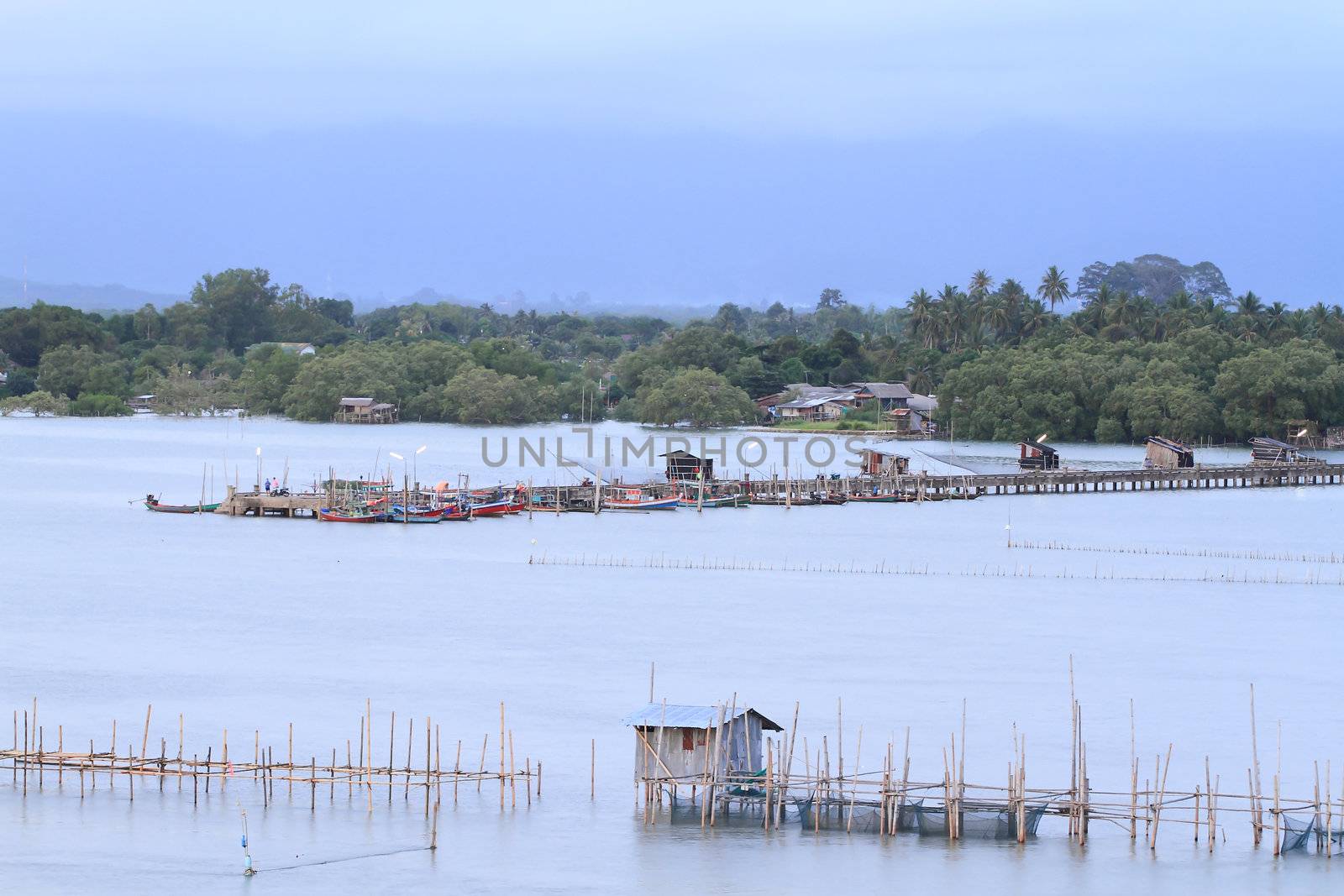 Shellfish farm, Thailand 
 by rufous