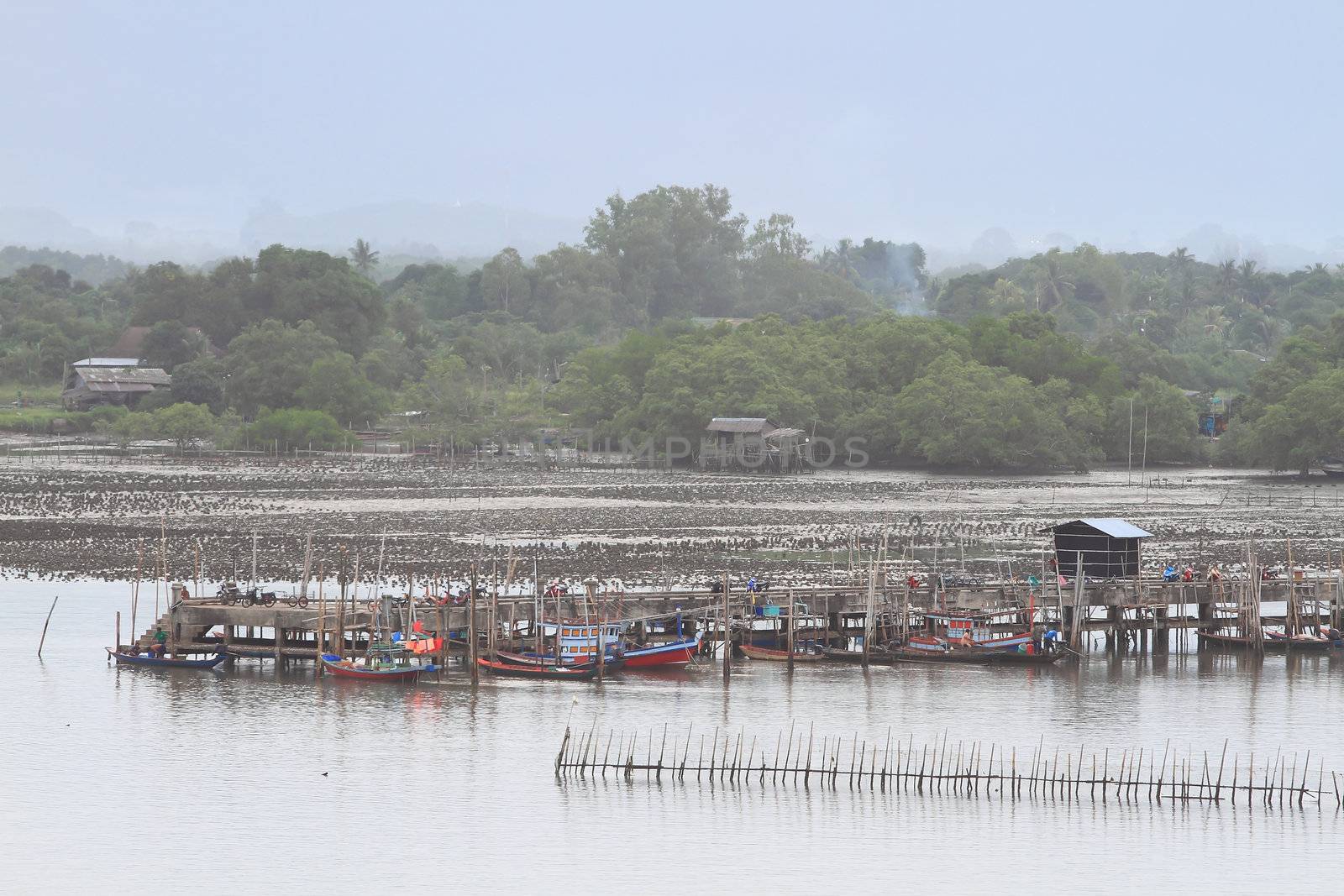 Shellfish farm, Thailand