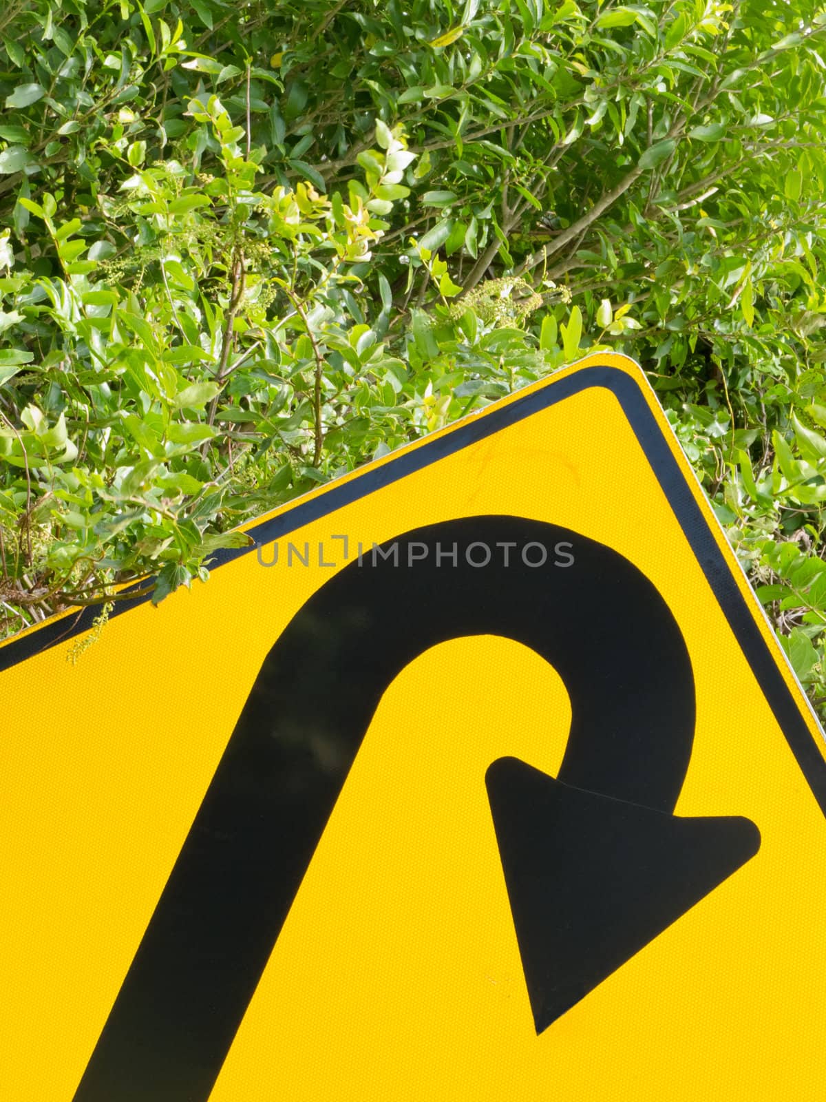 Think green - U-turn roadsign in lush vegetation by PiLens