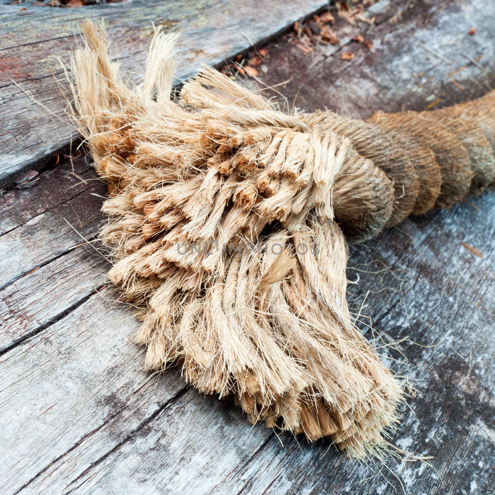 Frayed end of sisal rope lying on weathered wood by PiLens