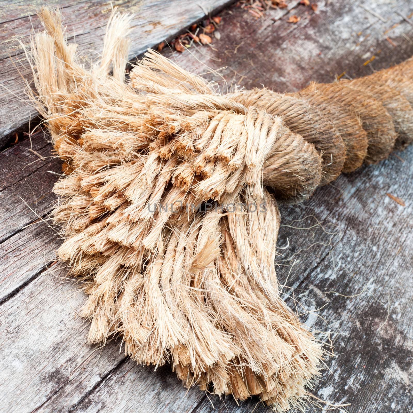 Frayed end of sisal rope lying on weathered wood by PiLens
