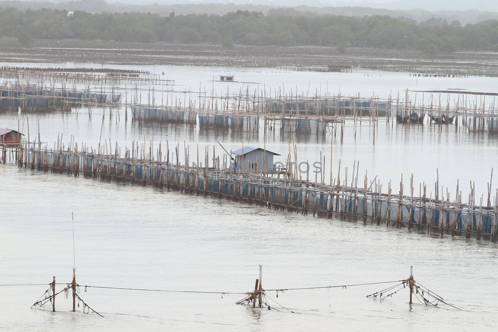 Shellfish farm, Thailand 
 by rufous