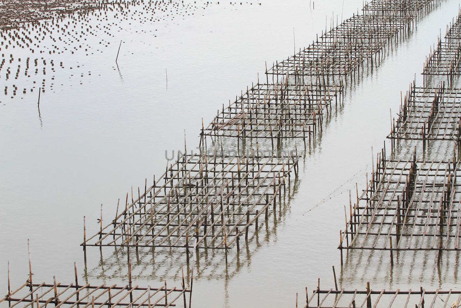 Shellfish farm, Thailand 
 by rufous