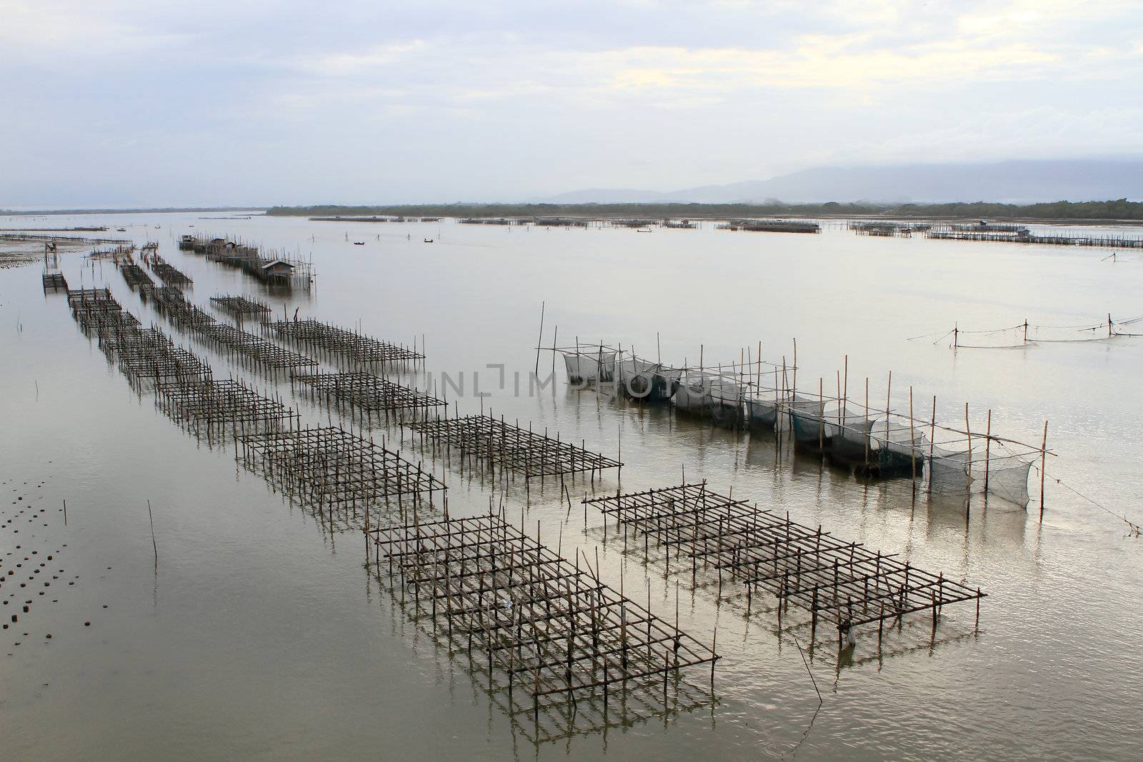 Shellfish farm, Thailand 
 by rufous