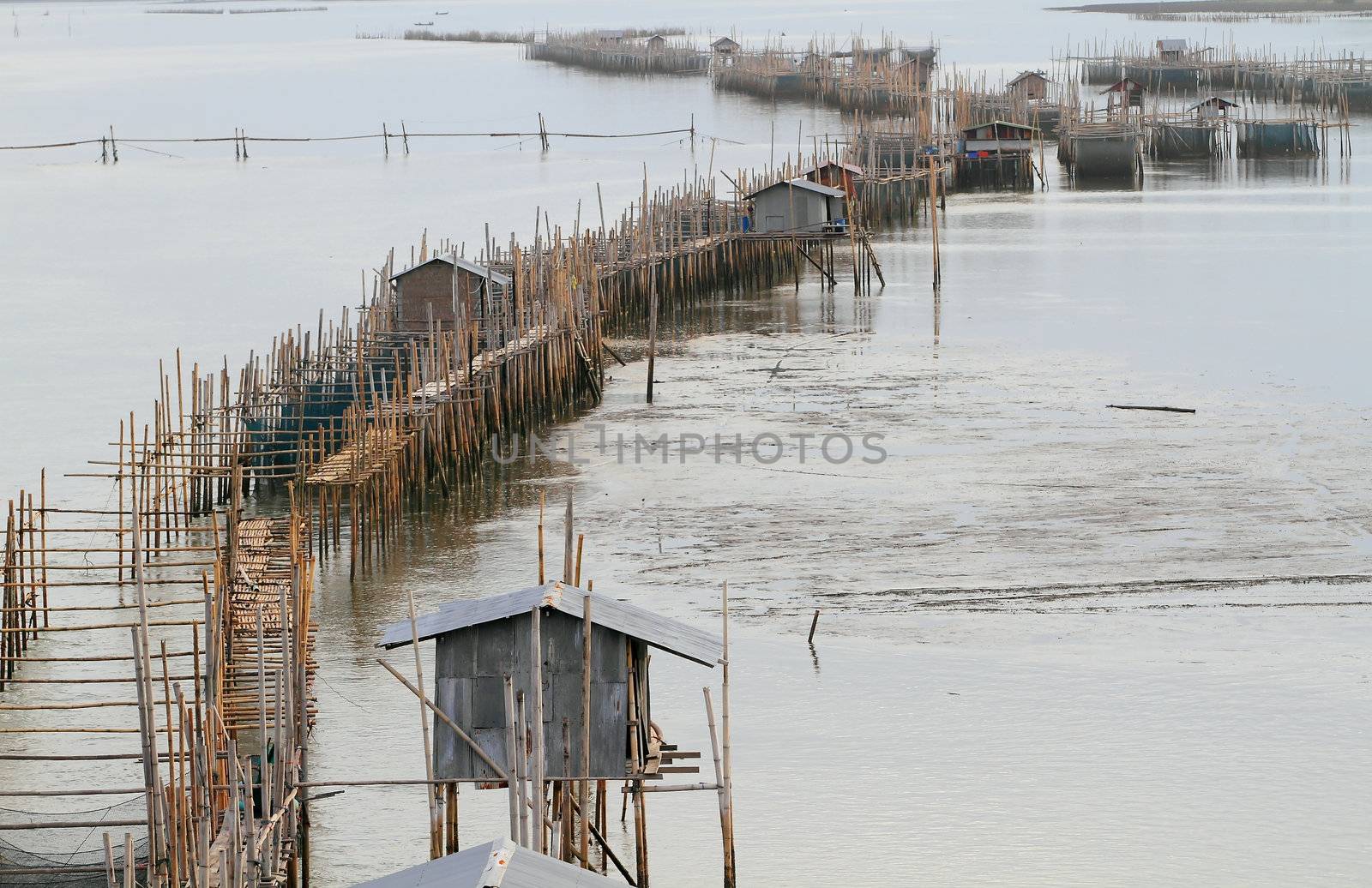 fish farm (floating net for keeping fish in water) at Chanthaburi river Thailand