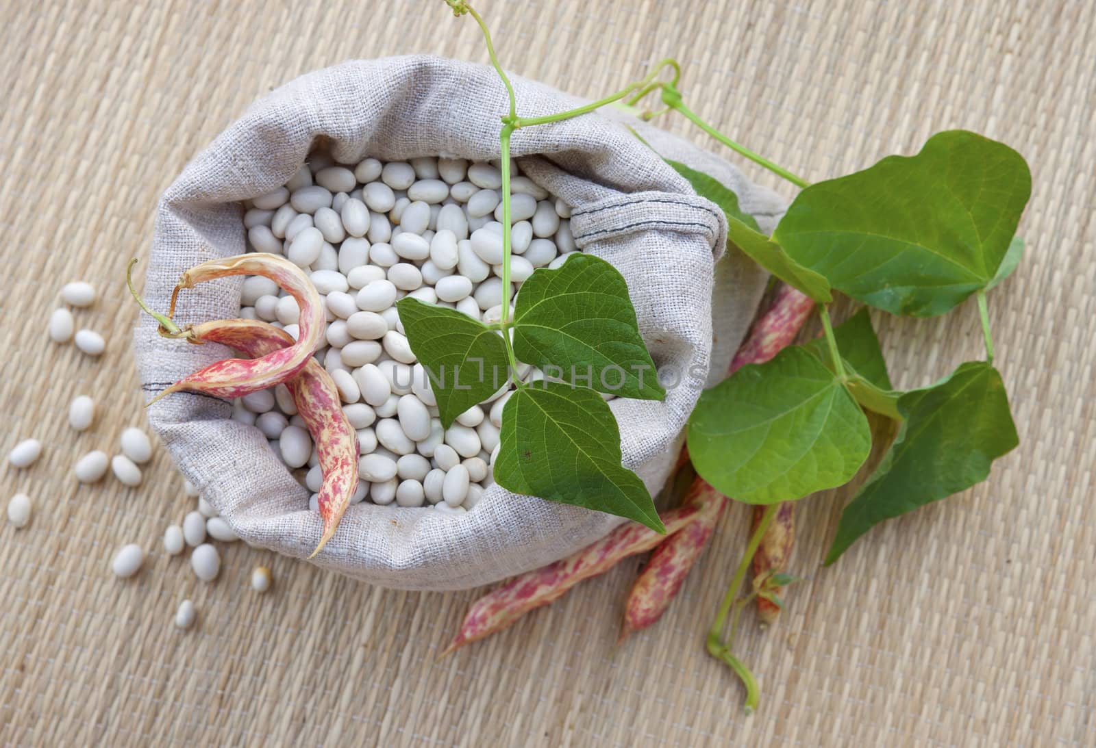 Beans in  the sack and red pods