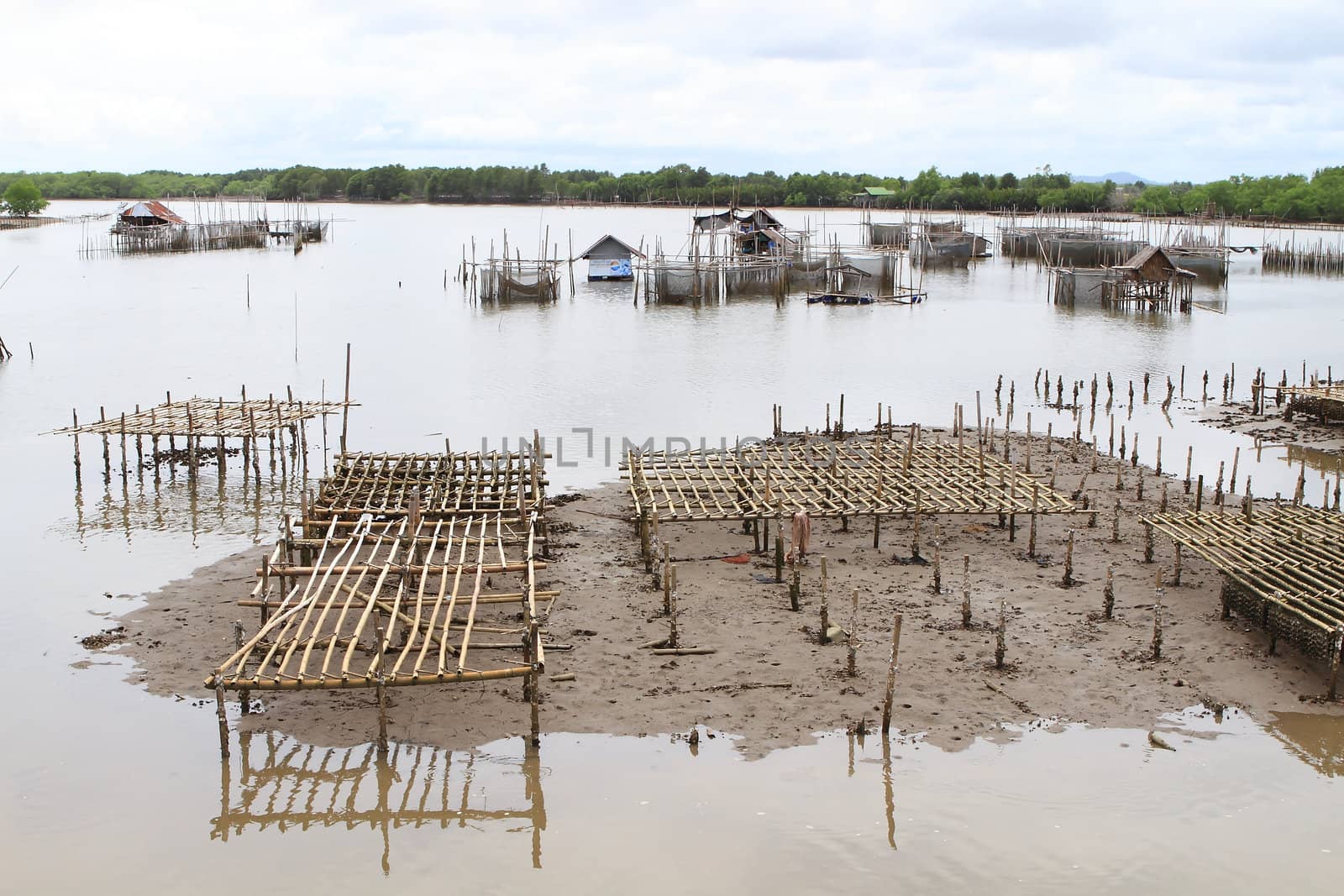 Shellfish farm, Thailand 
 by rufous