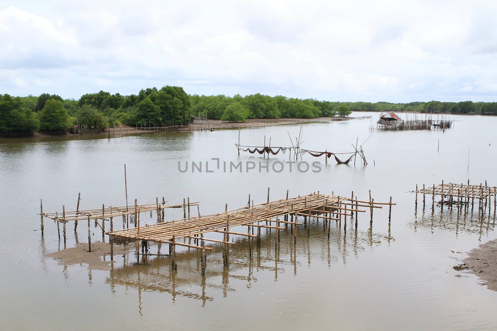 Shellfish farm, Thailand 
 by rufous