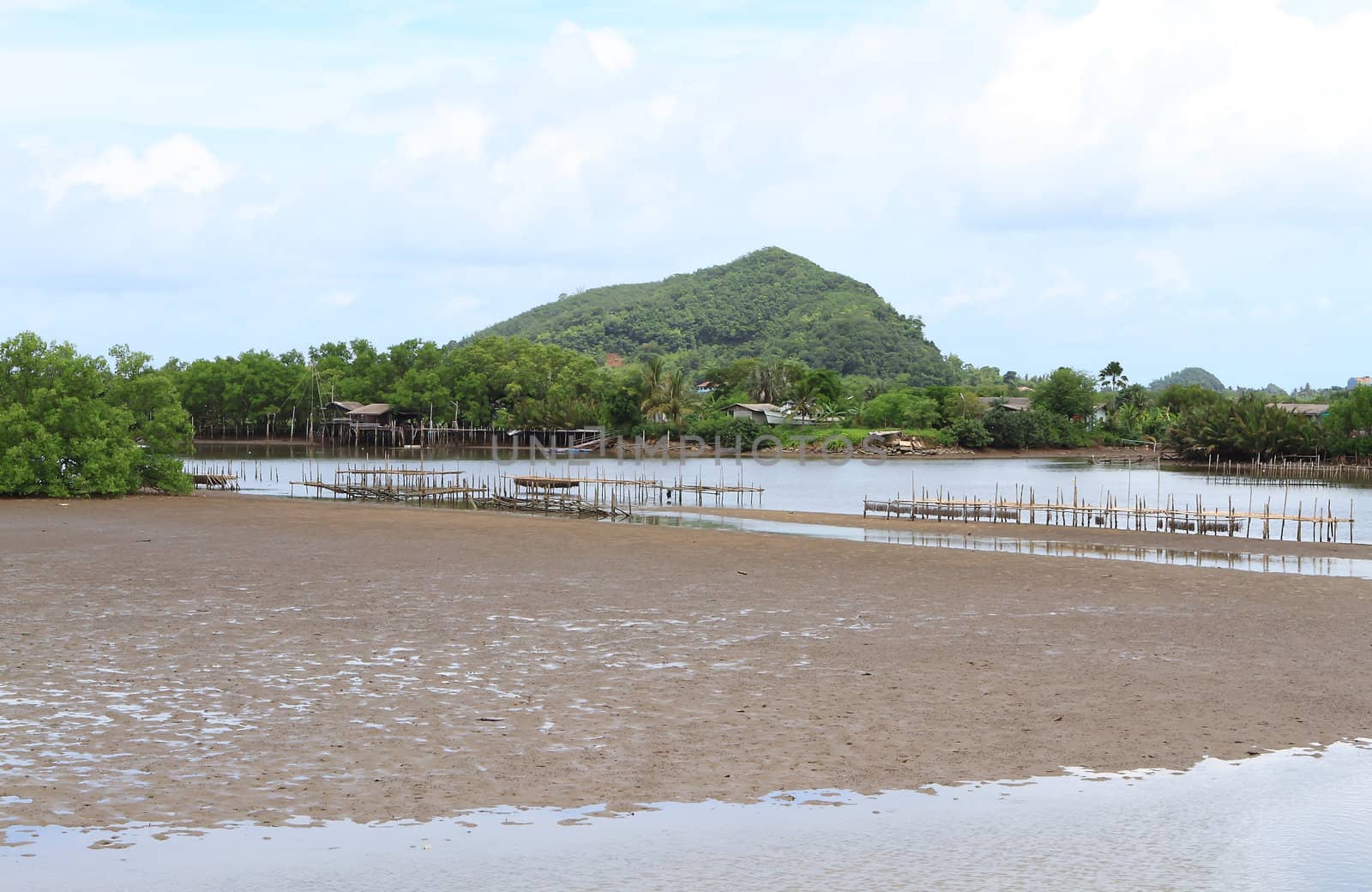 Shellfish farm, Thailand