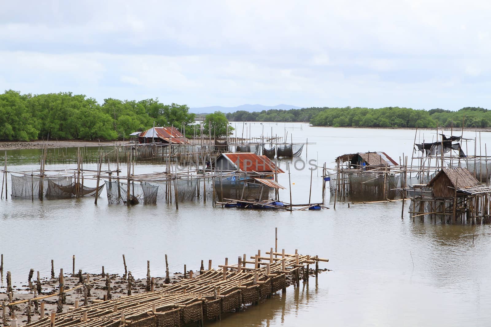 Shellfish farm, Thailand