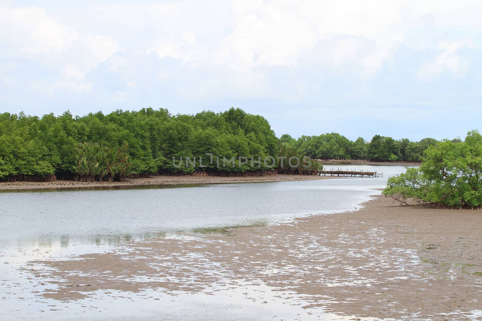 Shellfish farm, Thailand