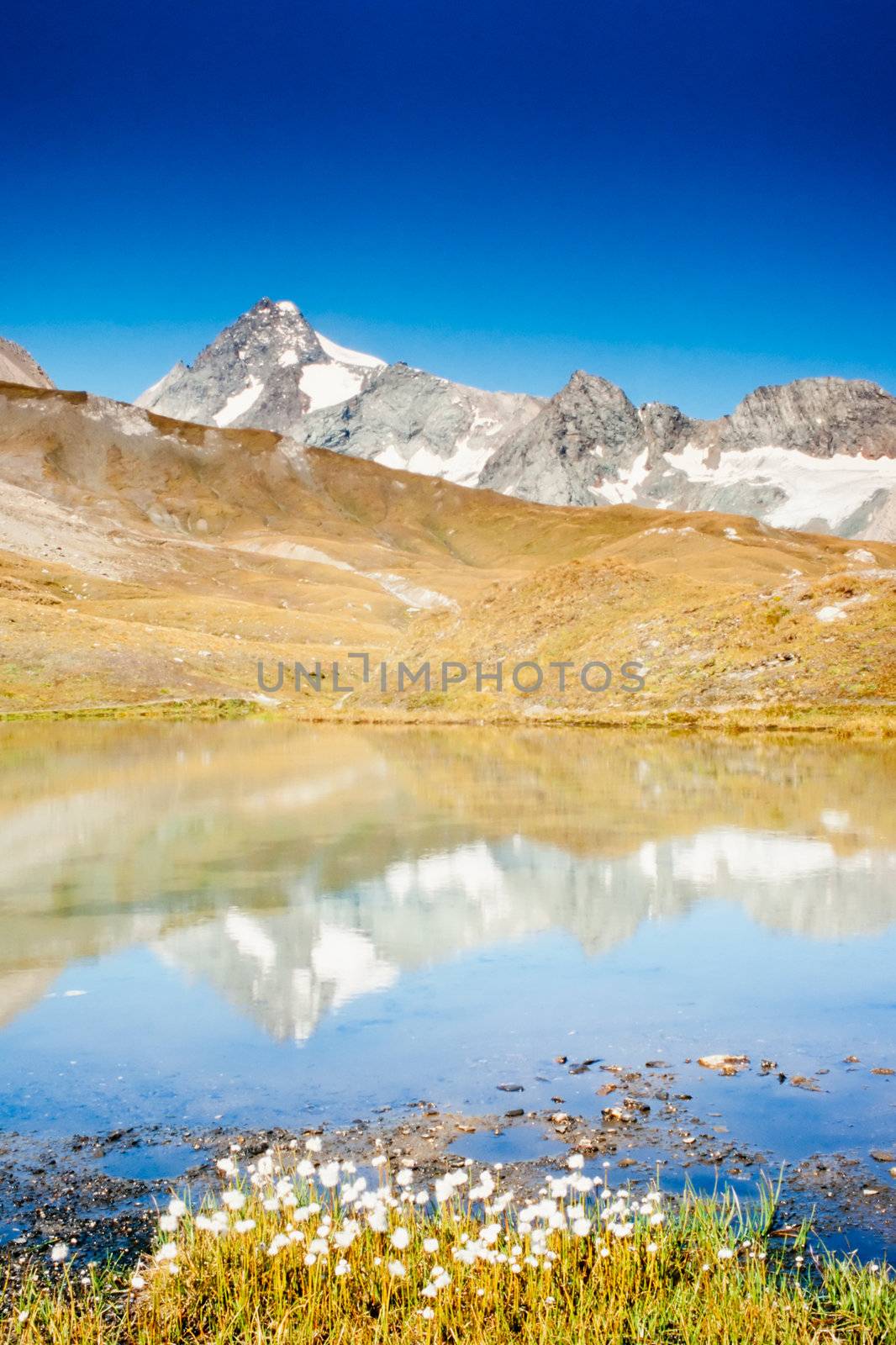 Grossglockner in Austria mirrored on alpine pond by PiLens