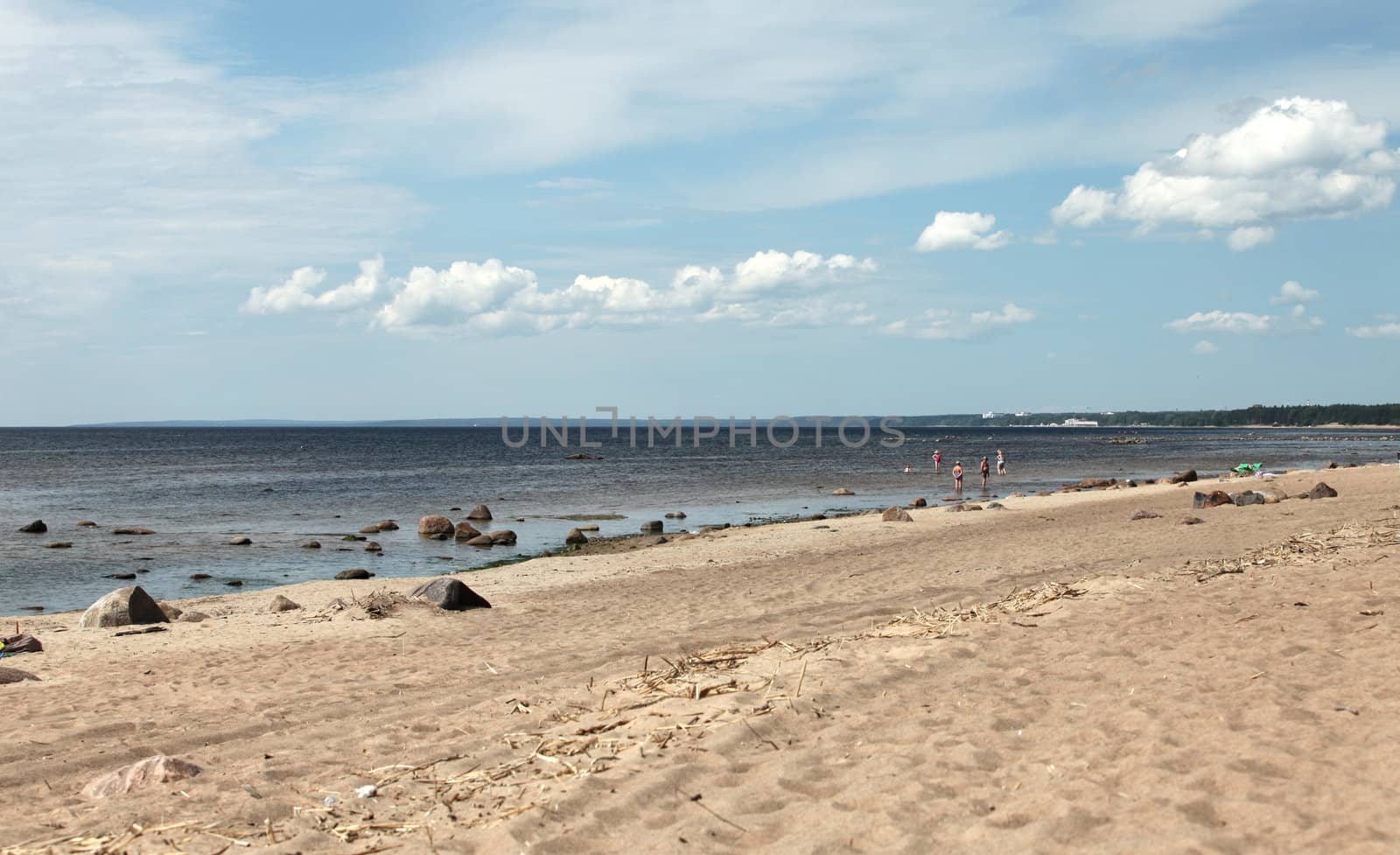 The wild beach on the shores of the Baltic Sea