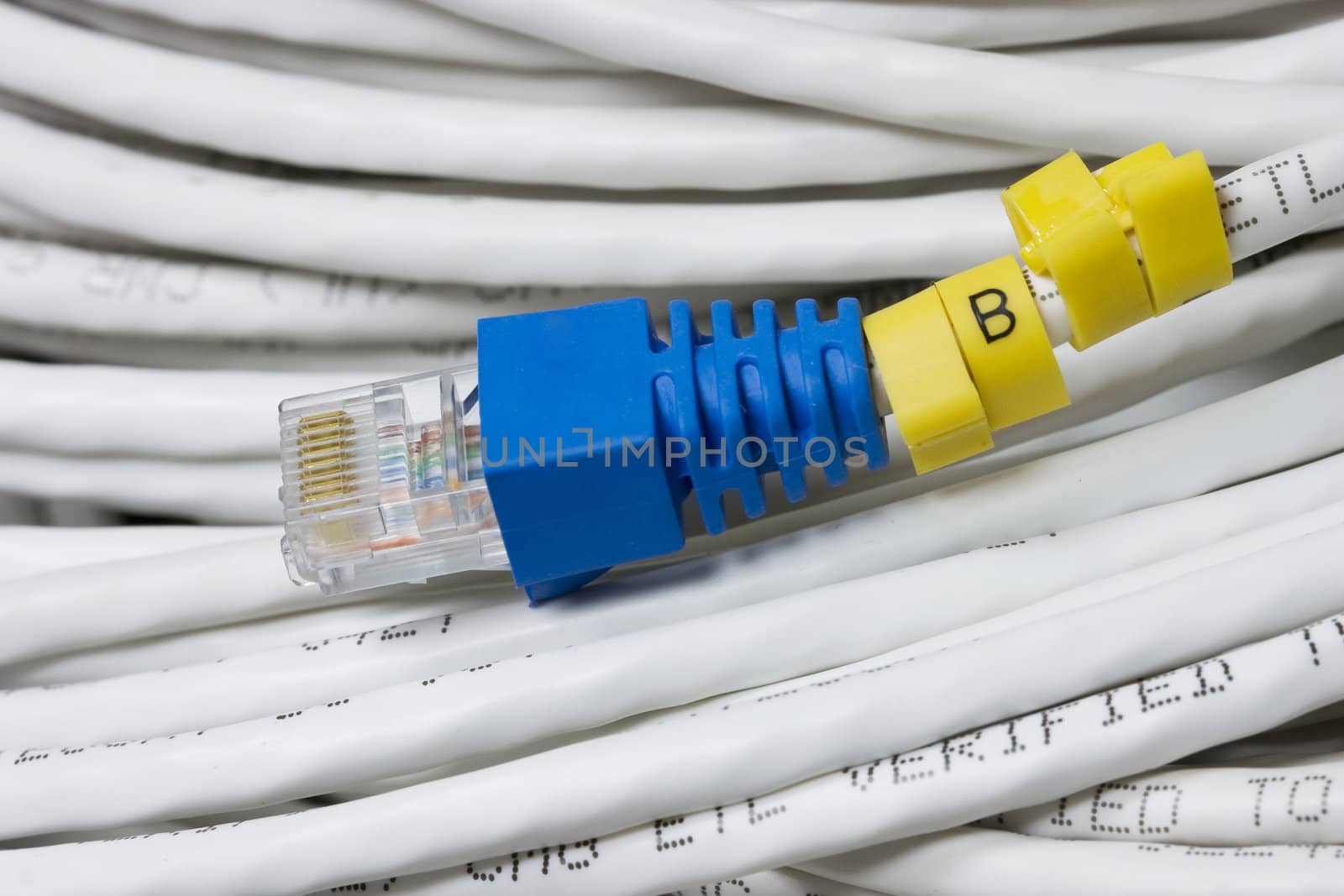 LAN Cable by foto76