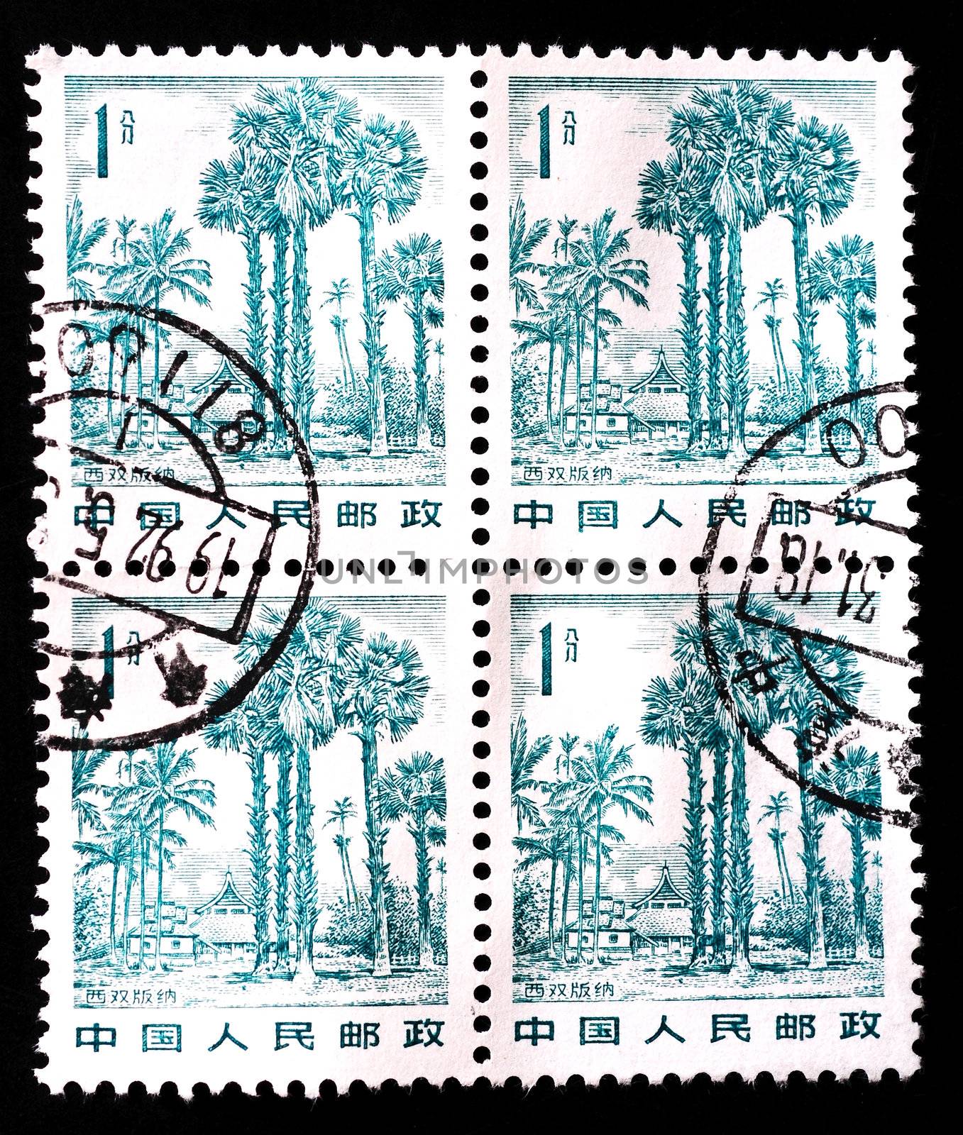CHINA - CIRCA 1982: A stamp printed in China shows landscape in Xishuangbanna, circa 1982