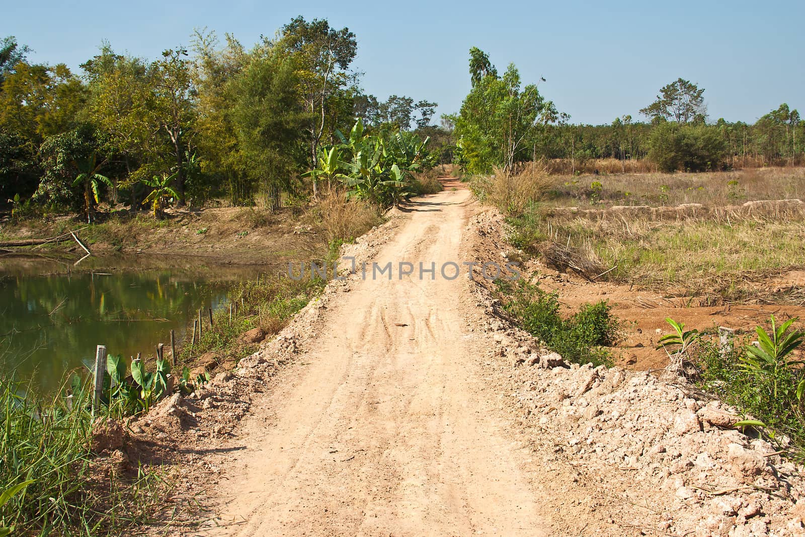 The dirt roads of rural villagers in Thailand.