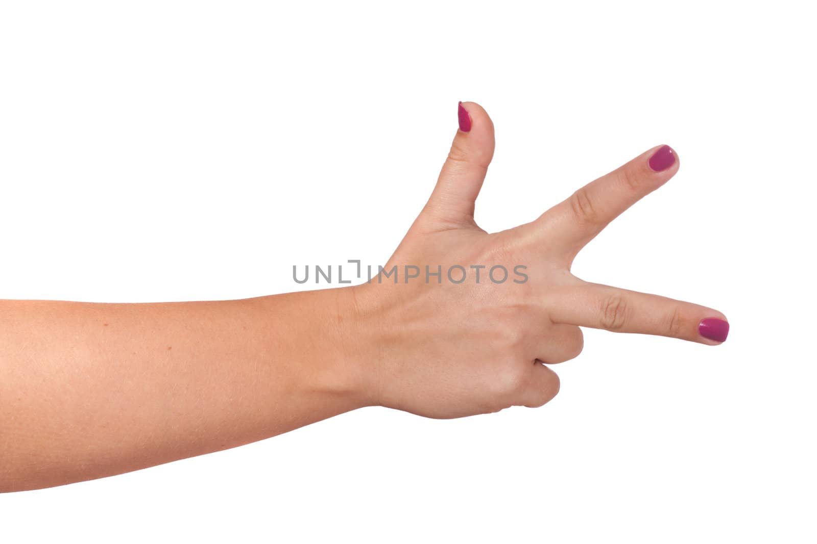 gesturing hand, photo on the white background