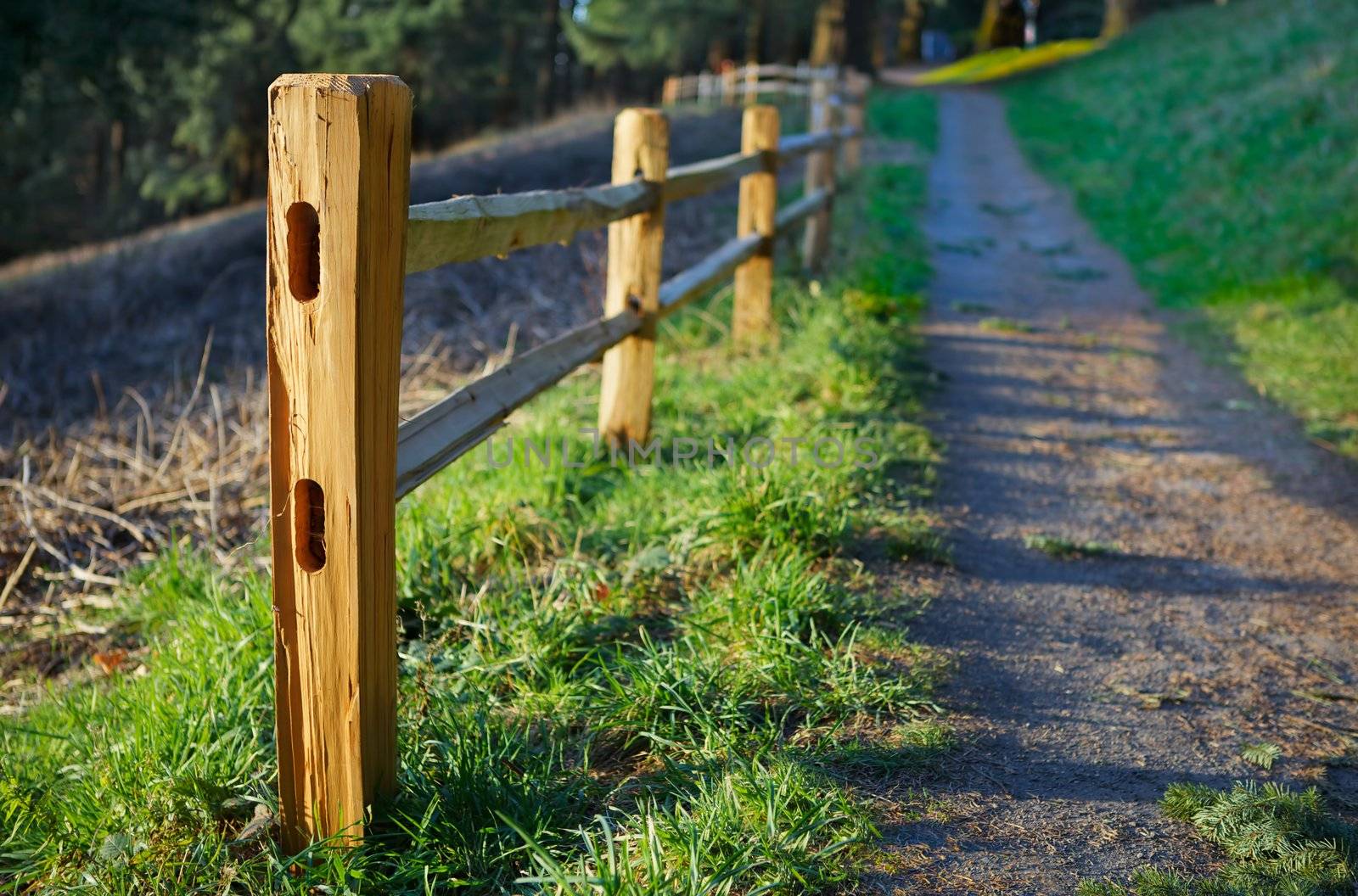 Cedar Picket fence on hill by bobkeenan