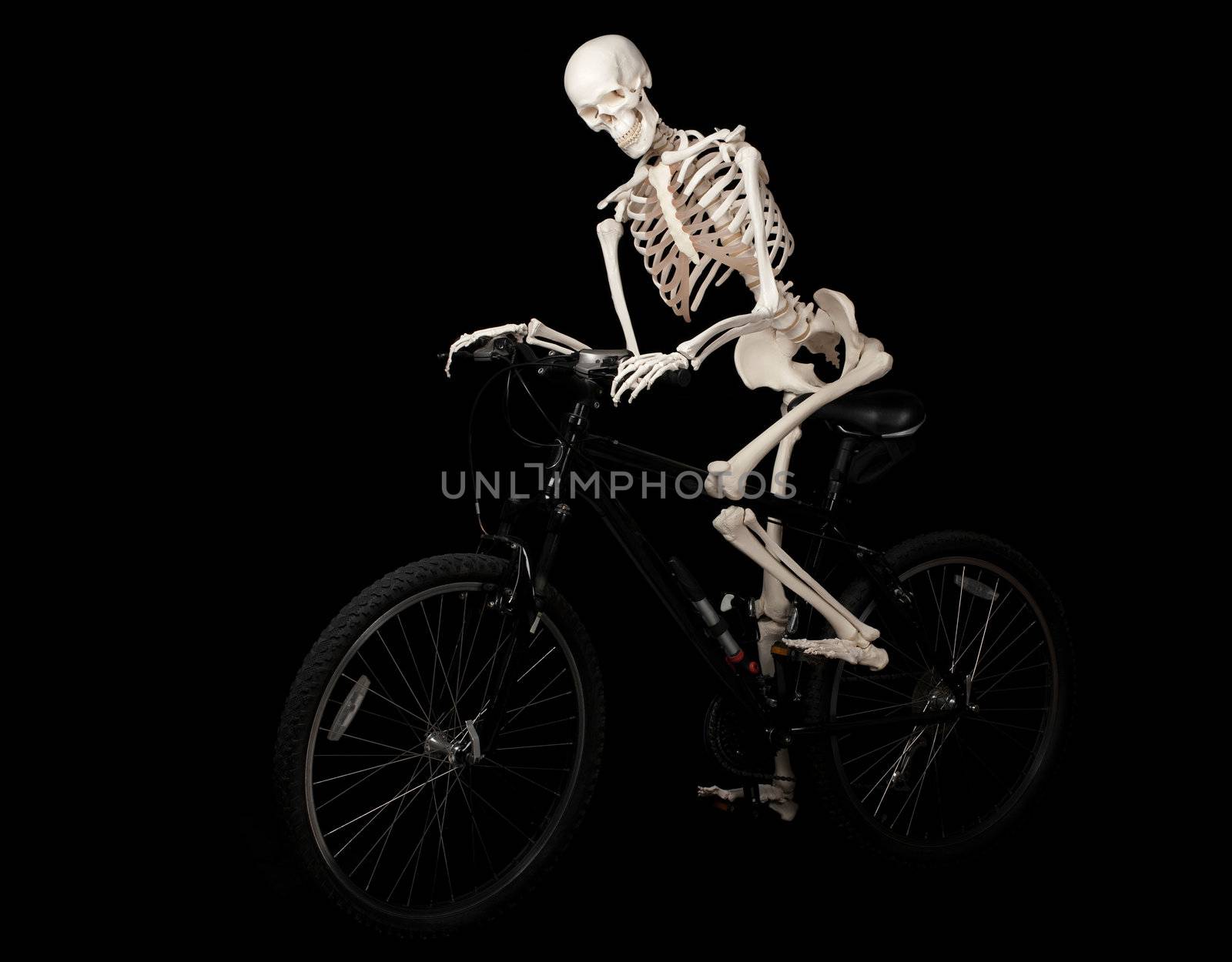 A skeleton rides a bicycle from nowhere.