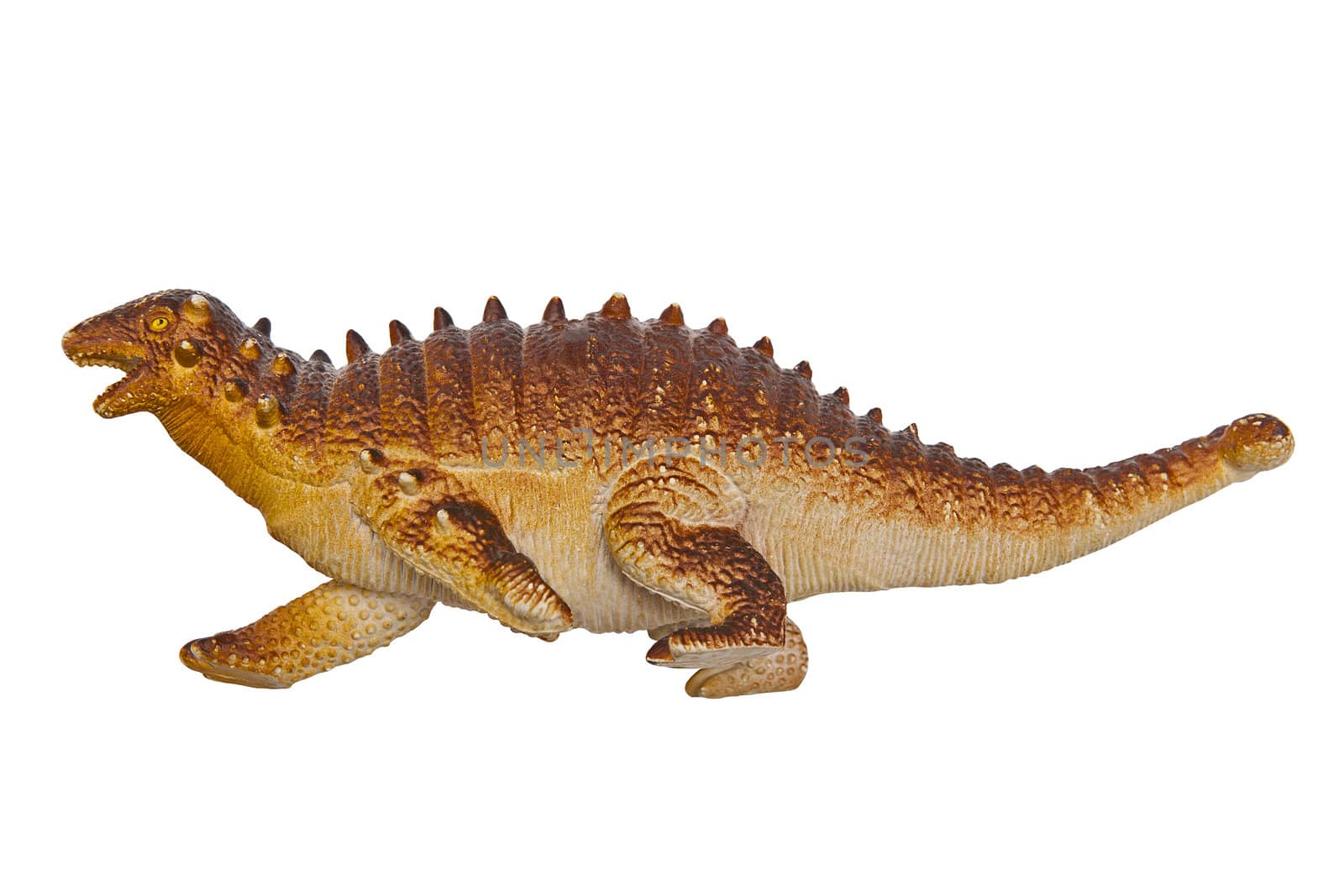 Dinosaur Euoplocephalus isolated on the white background