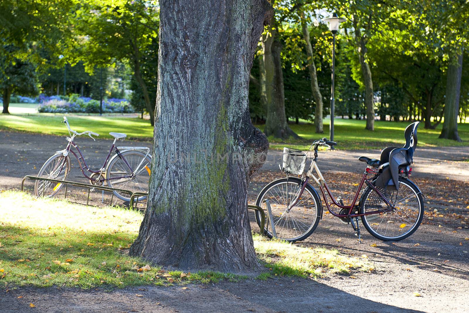 Cycling in the sunny day