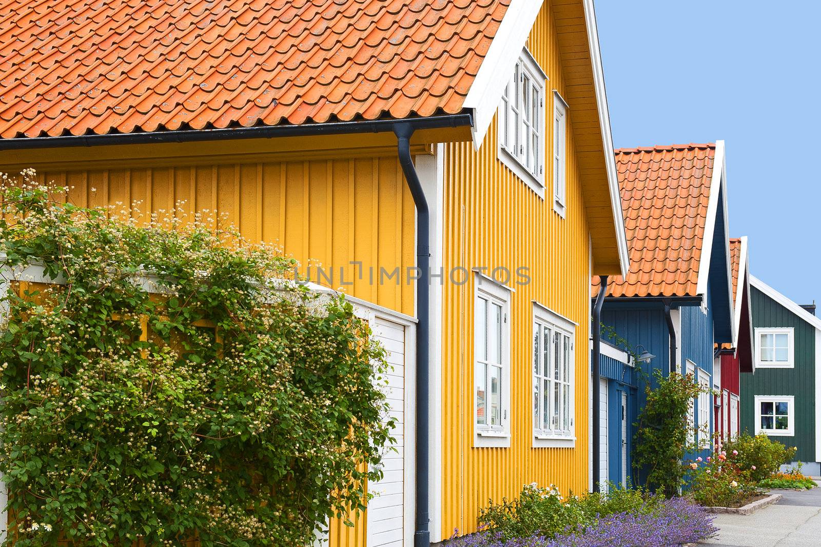 Wooden colorful houses