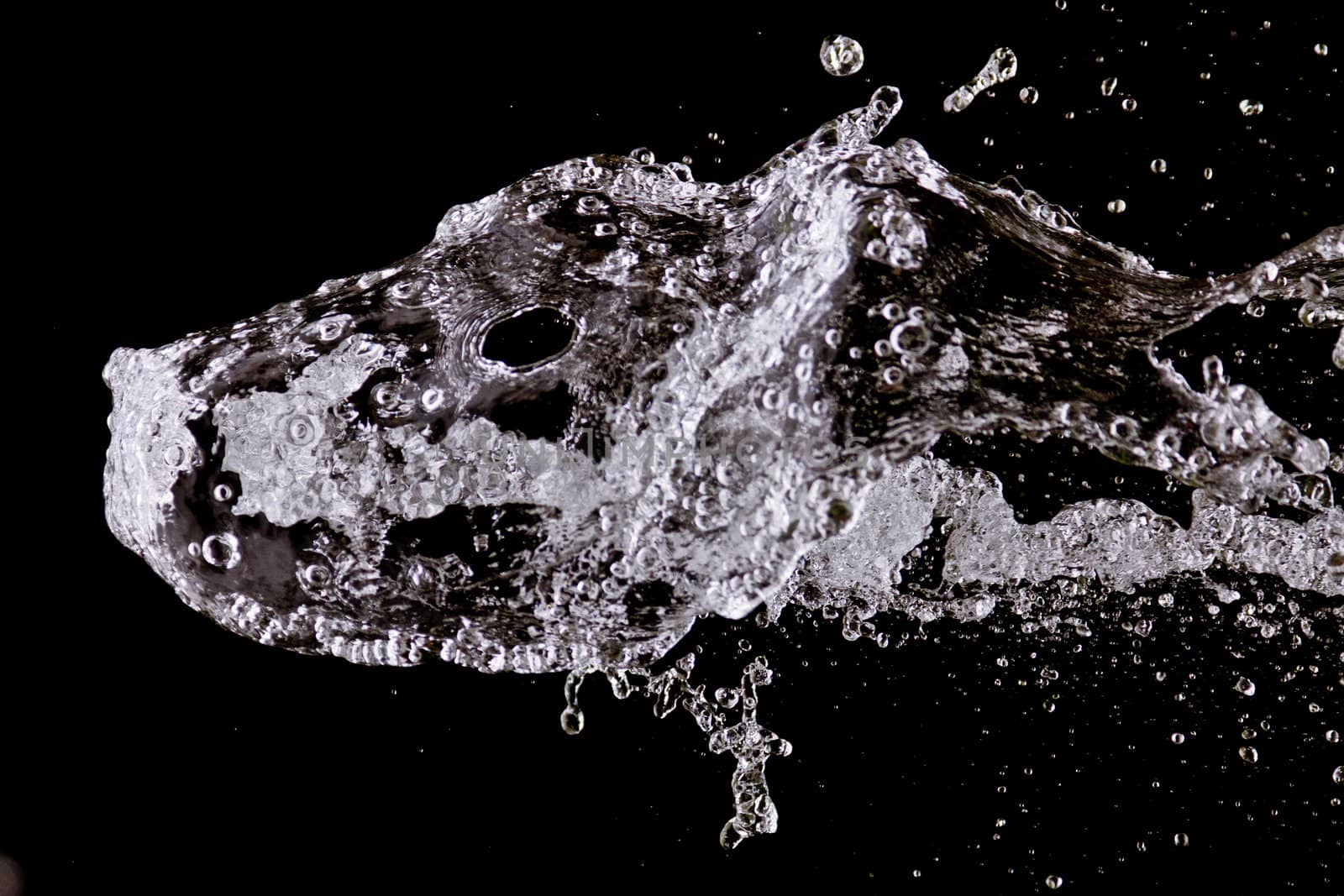 Abstract shape created by splashing water which looks like the head of an animal