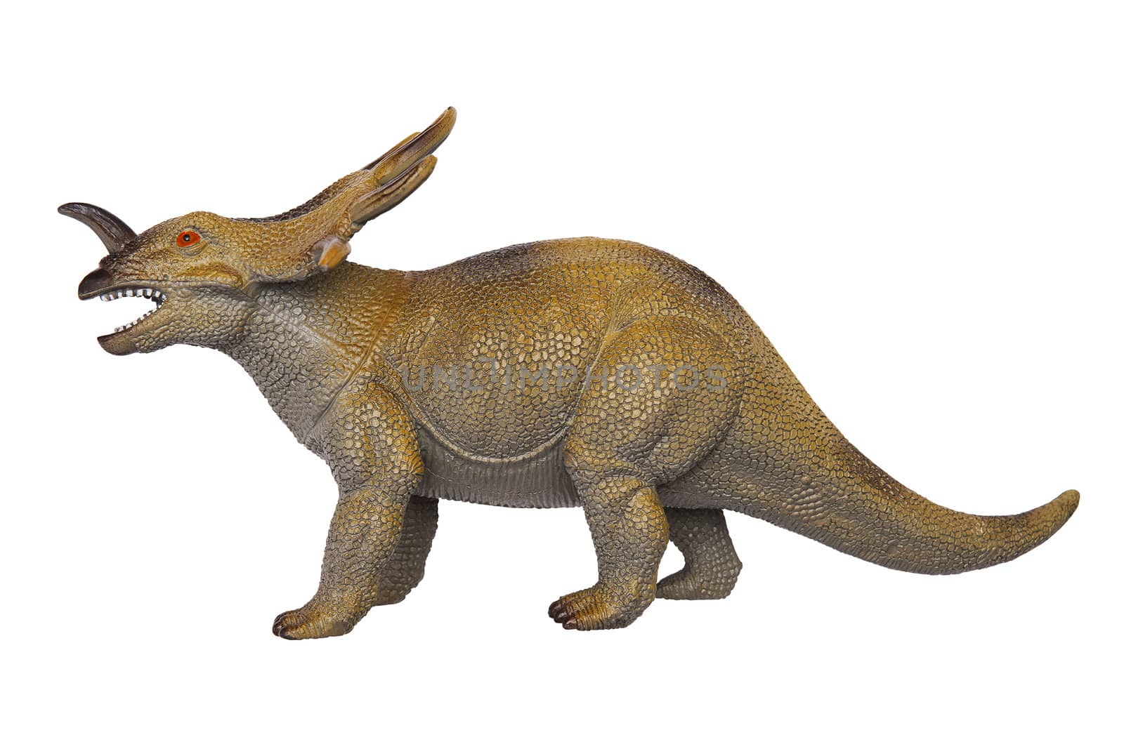 Dinosaur Styracosaurus isolated on the white background