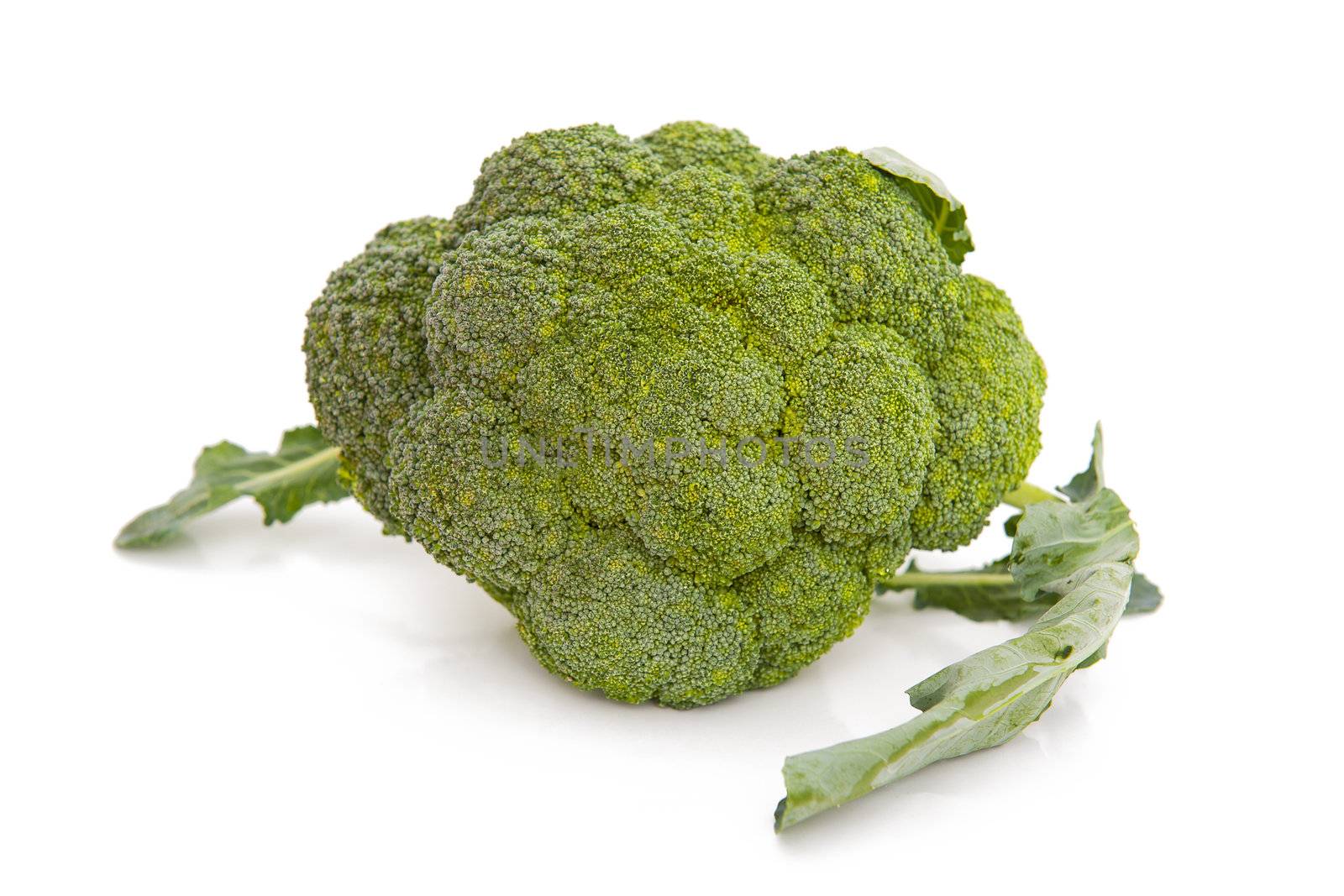 Broccoli by Yaurinko