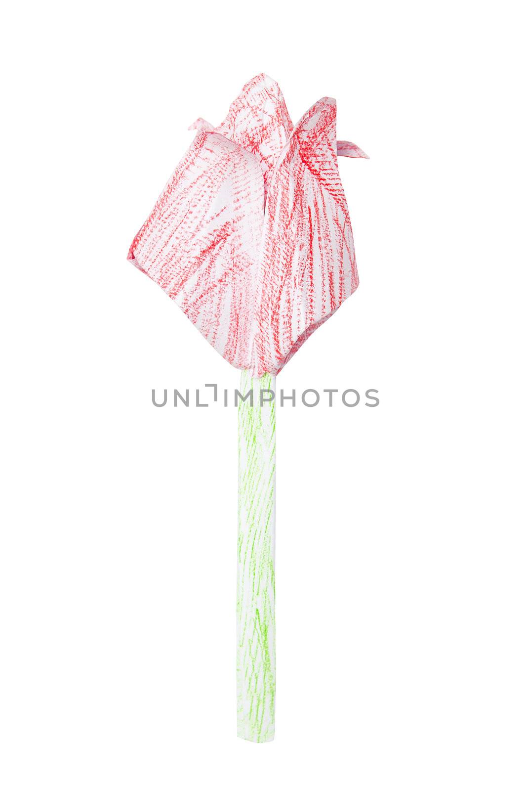 Origami tulip isolated on the white background