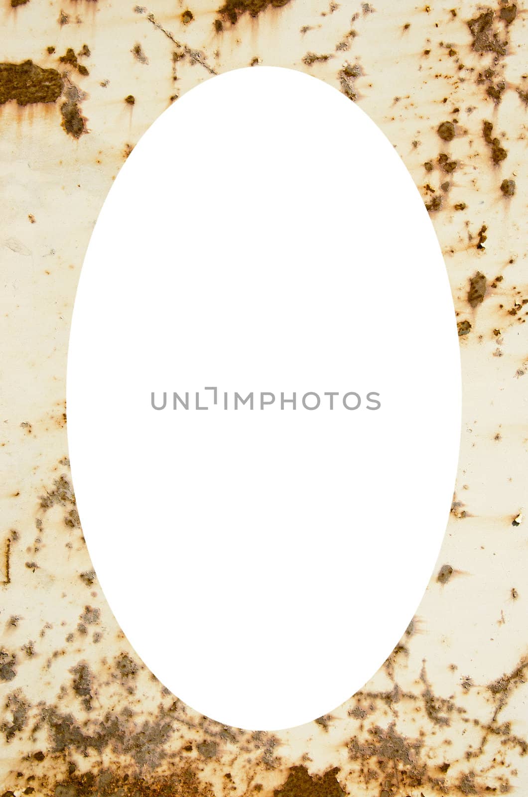 Old metal plate painted white with some rust. Isolated white oval place for text photograph image in center of frame.