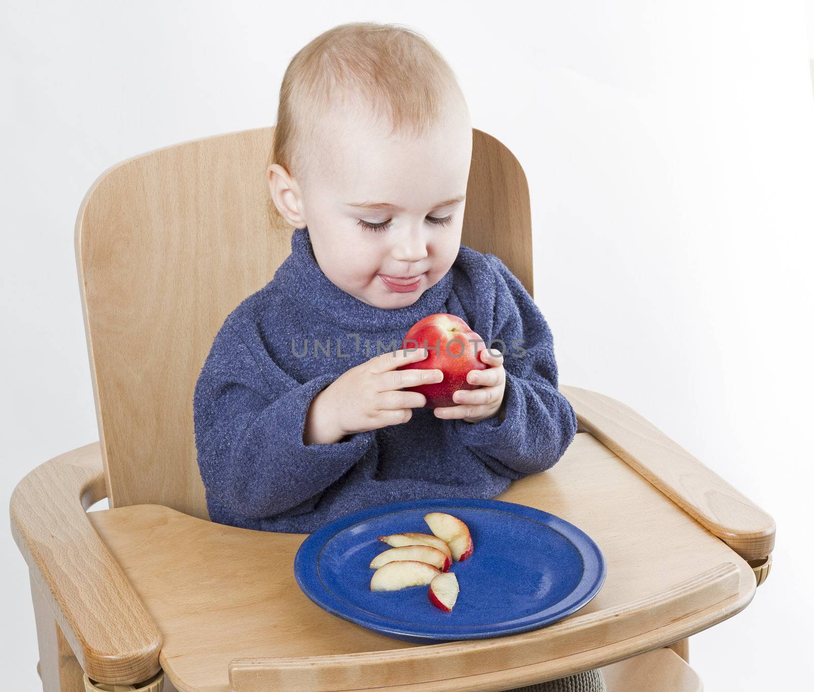 young child eating in high chair isolated in neutral grey background