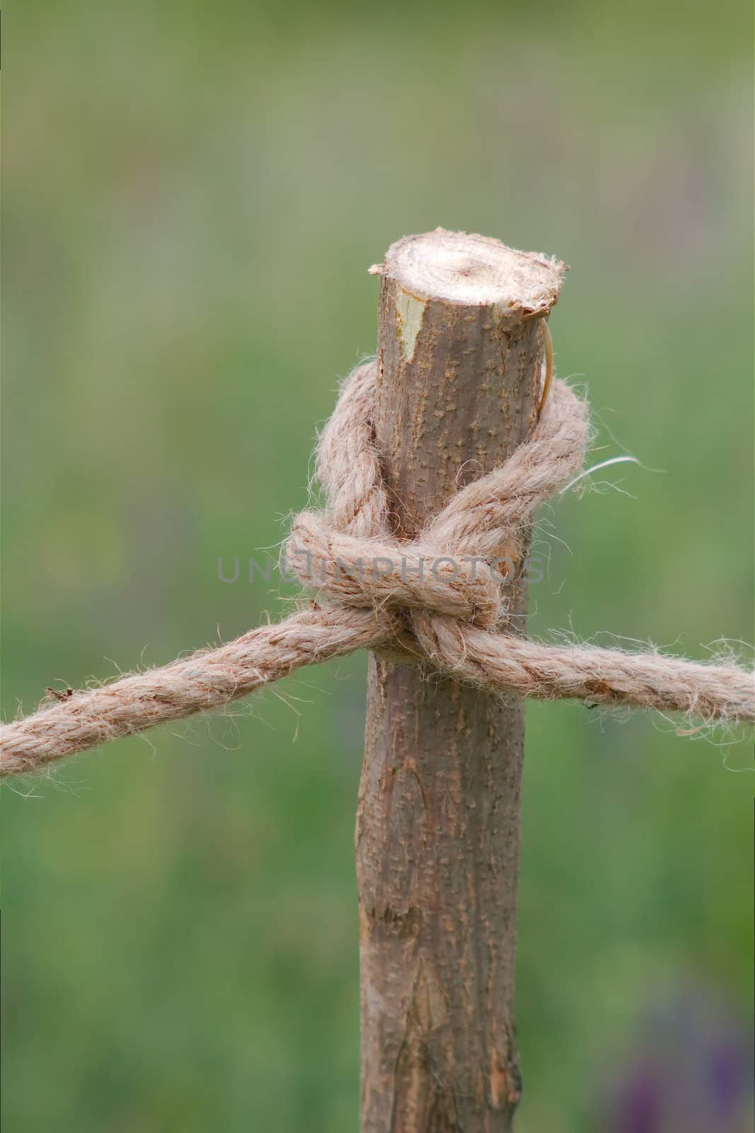 A rope, knotted a knot on a wooden column