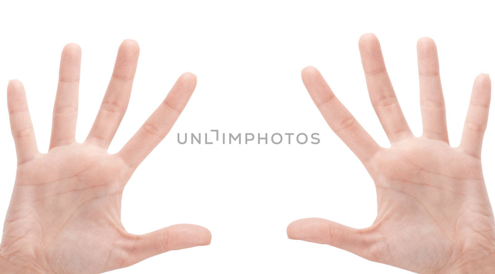 Open woman hand or number five isolated on white