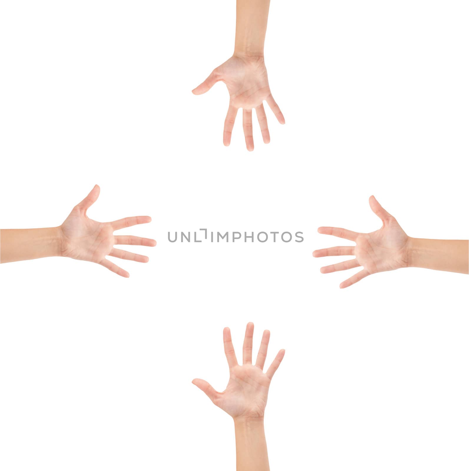 hands isolated on white background