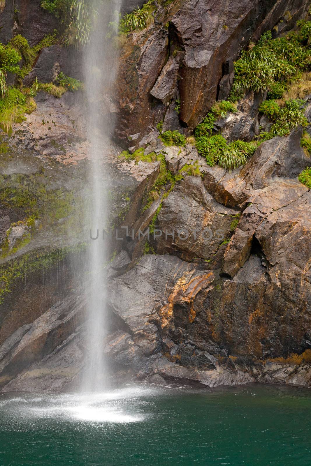 tropical rainforest waterfall in milford sound fiordland of New Zealand