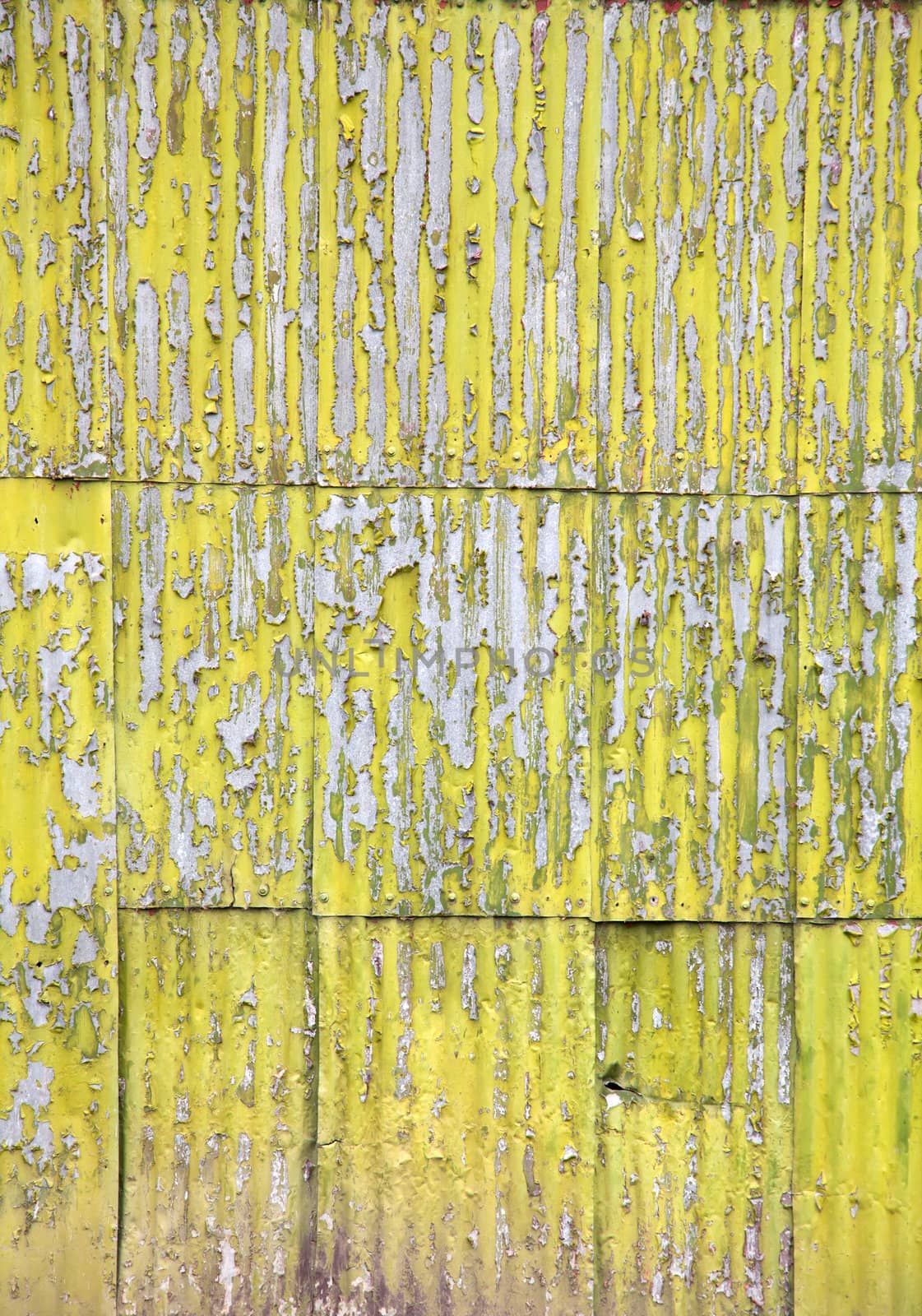 grunge green wooden panel background