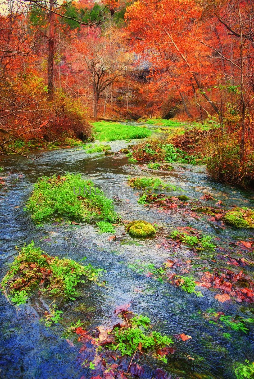 autumn or fall spring or stream in missouri